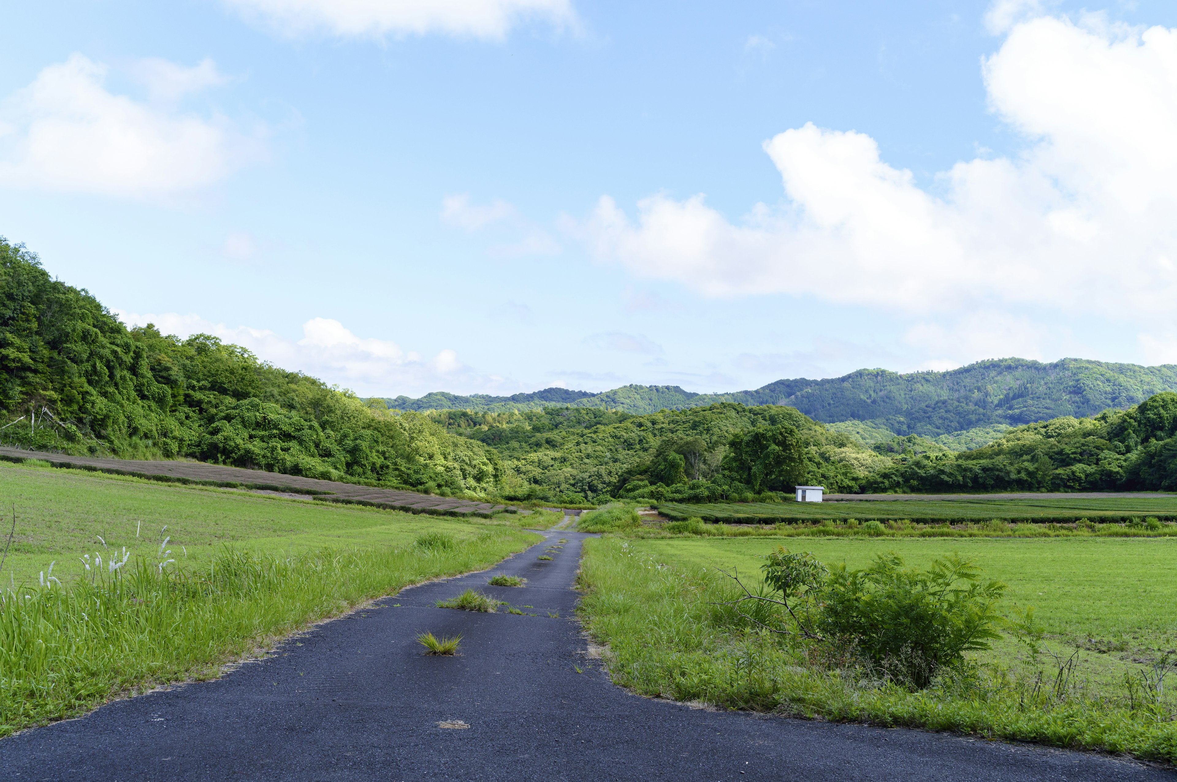 Rural road surrounded by lush mountains and expansive rice fields