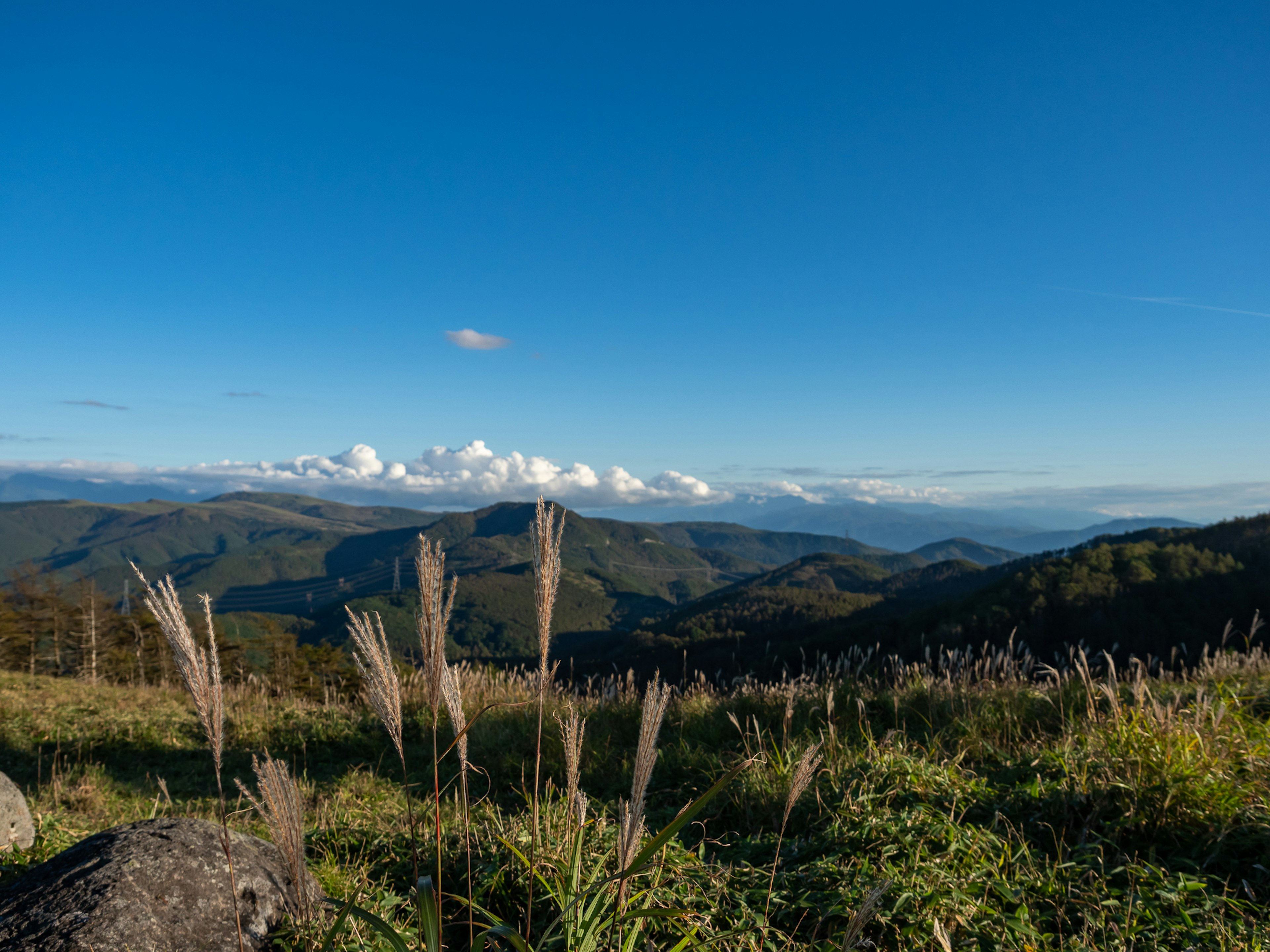 Pemandangan pegunungan dan padang rumput di bawah langit biru cerah