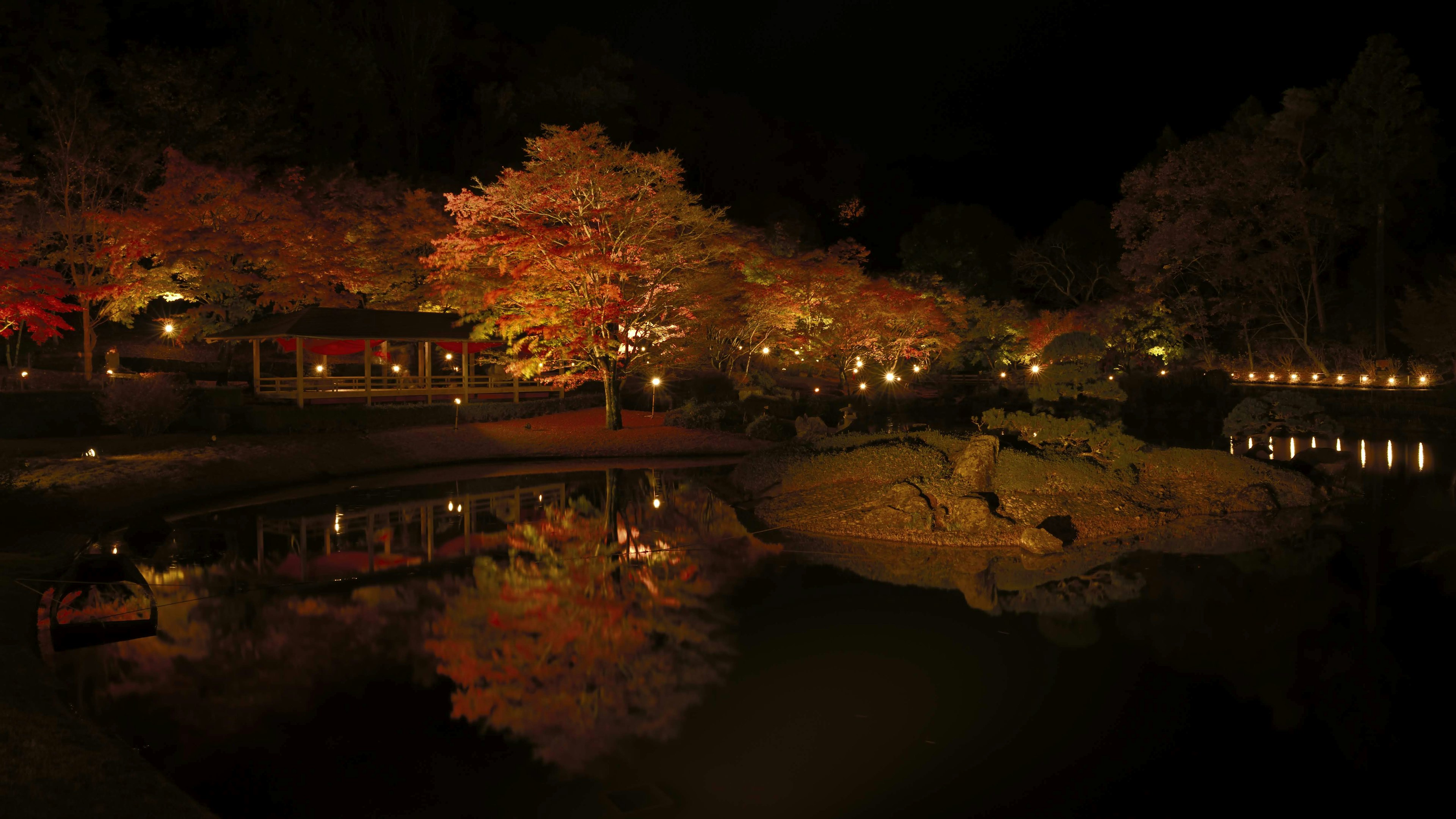 Nächtliche Aussicht auf den Herbstlaub und die Lichter, die sich in einem Park spiegeln