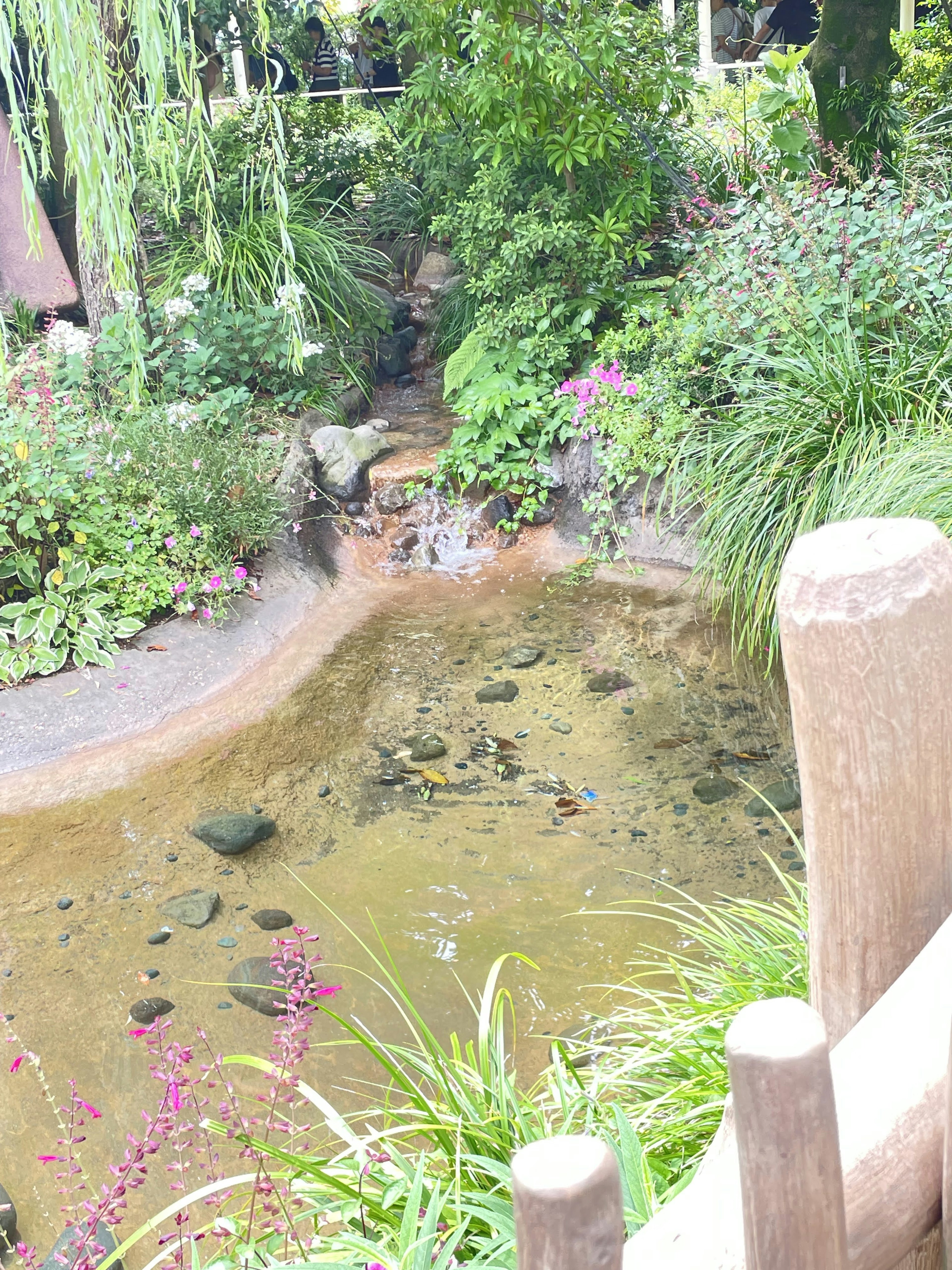 Serene pond surrounded by lush greenery and colorful flowers