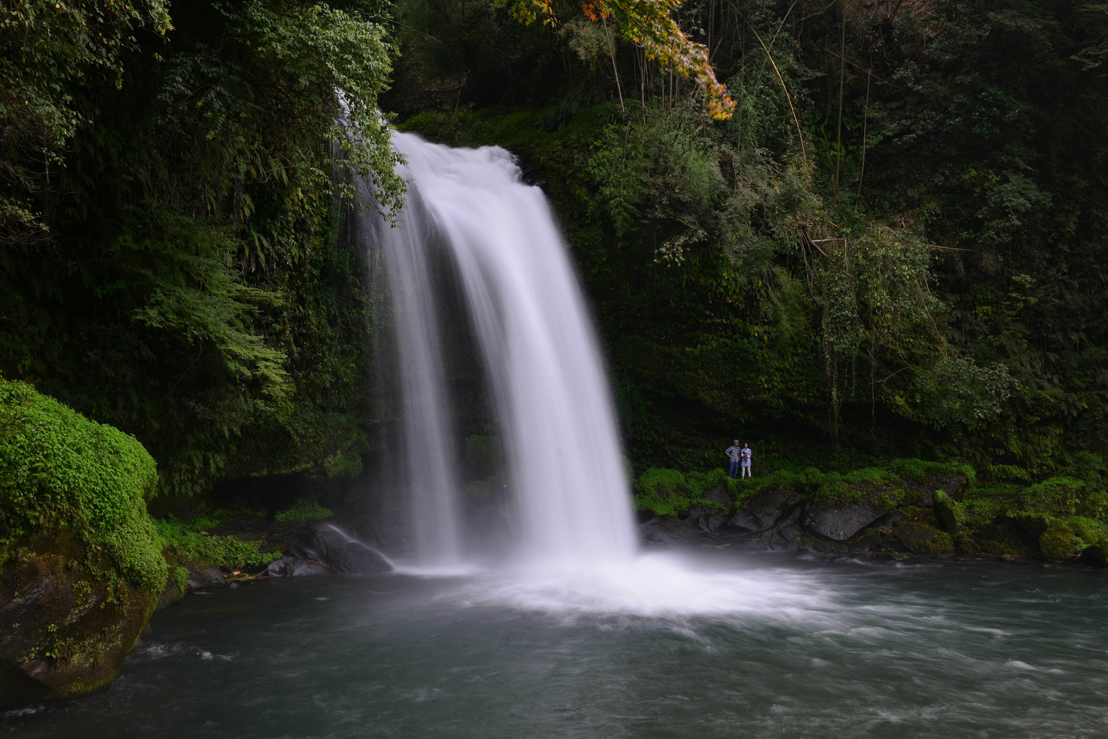 Waterfall surrounded by lush greenery and serene water