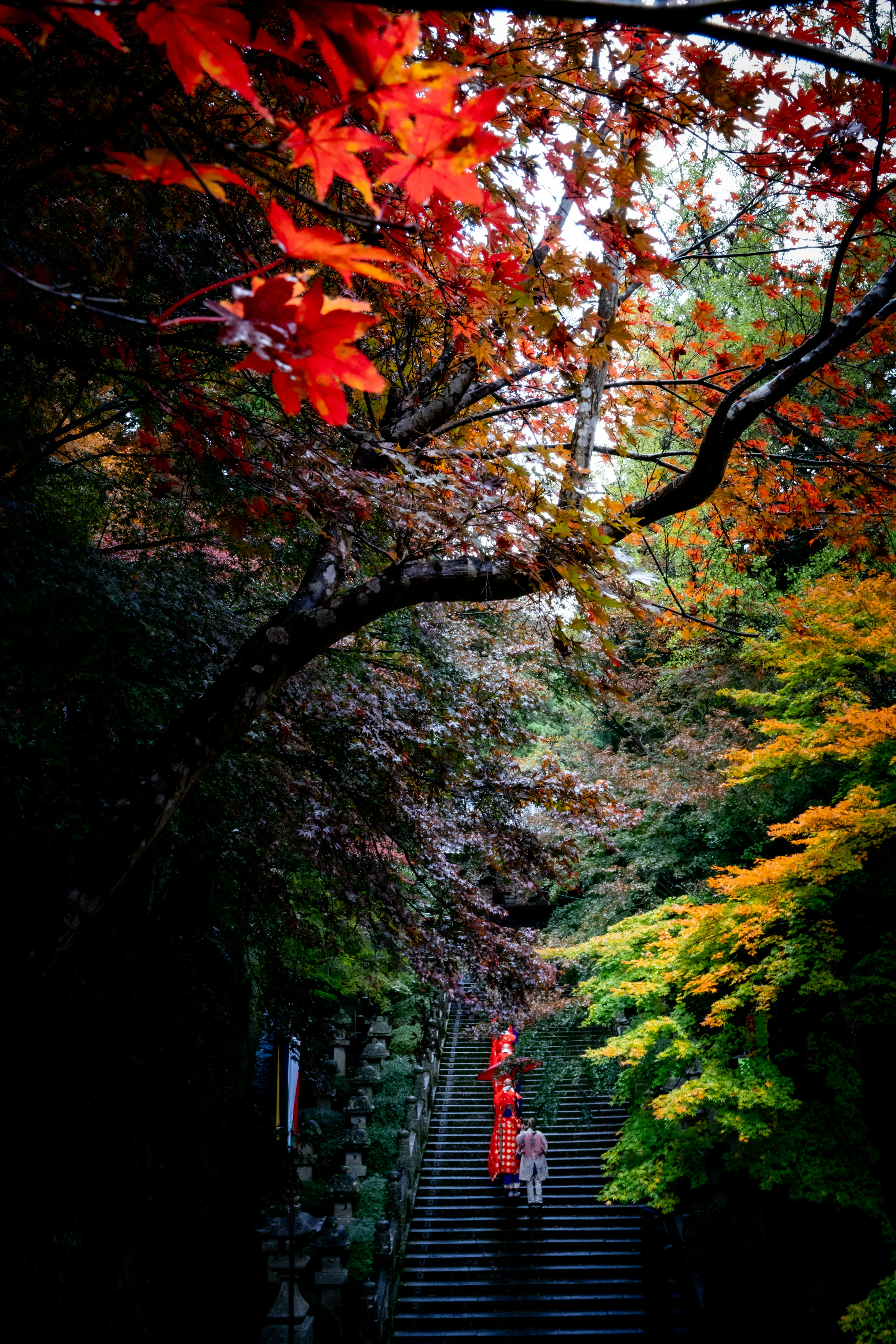 A woman in a kimono walking up a staircase surrounded by autumn foliage