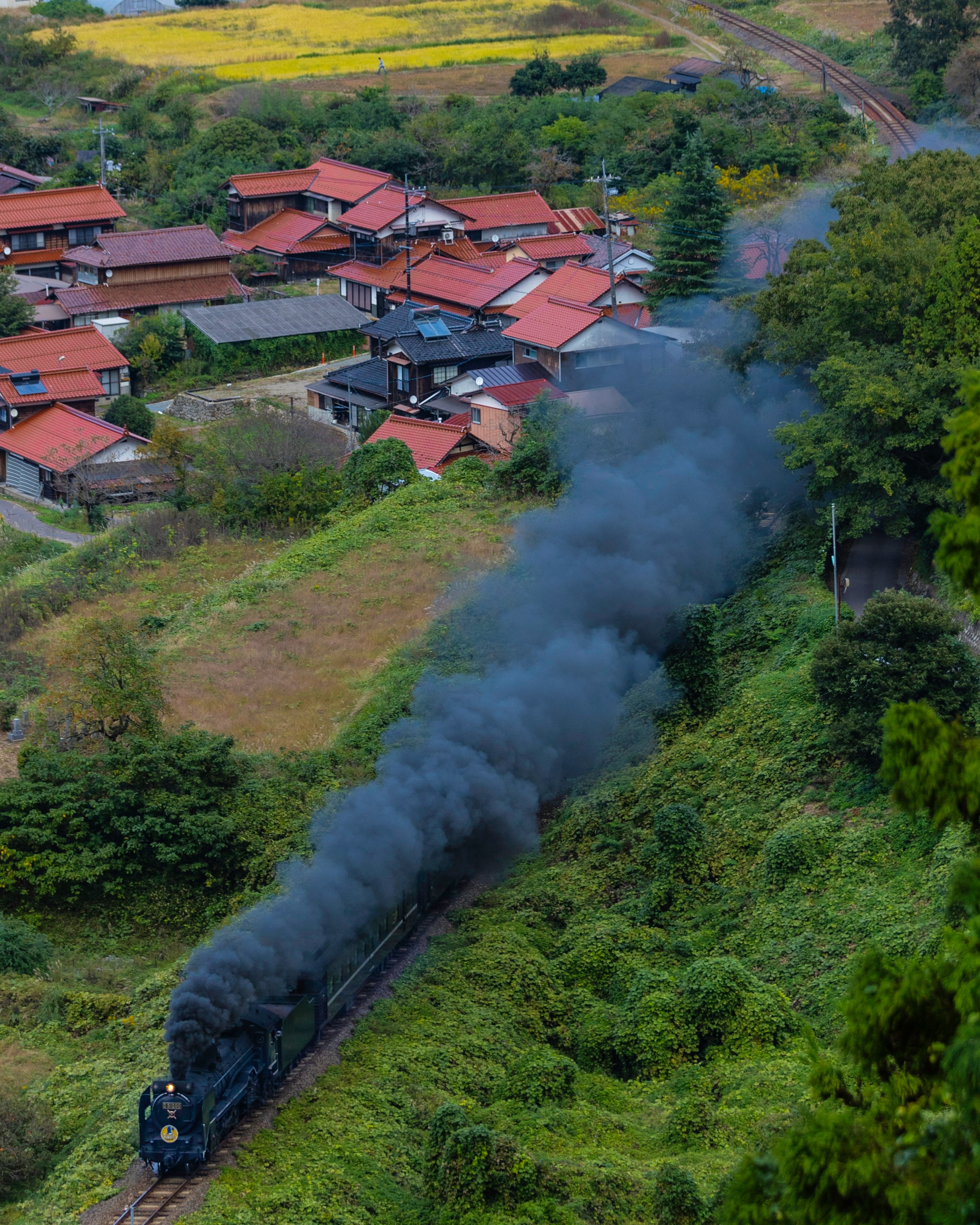 Locomotiva a vapore che emette fumi attraverso un paesaggio rurale con case tradizionali