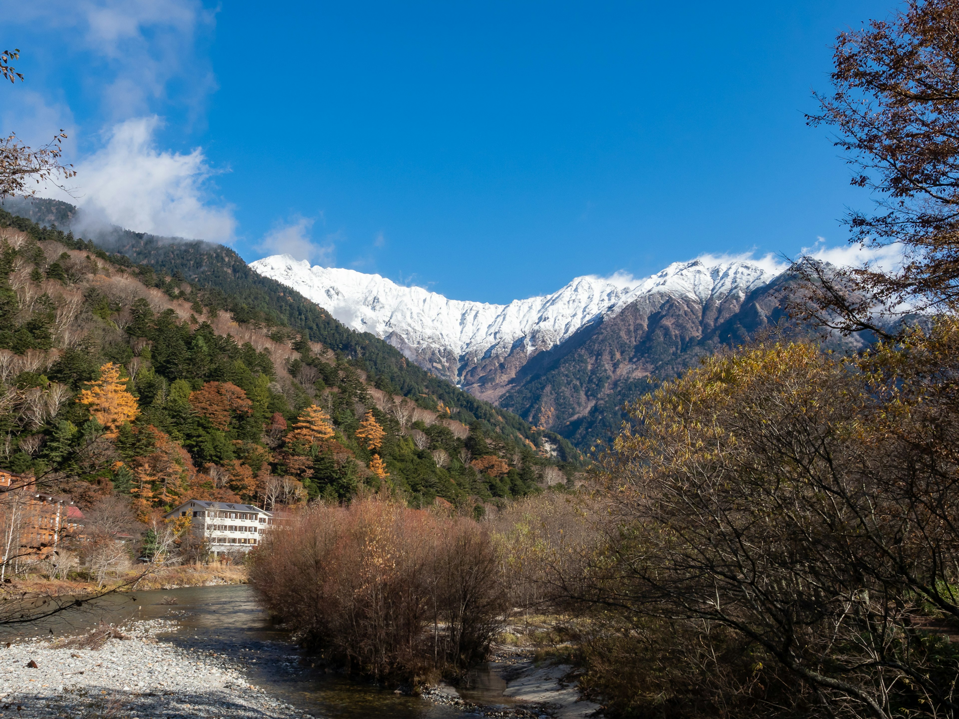 Paysage magnifique de montagnes enneigées et d'arbres colorés