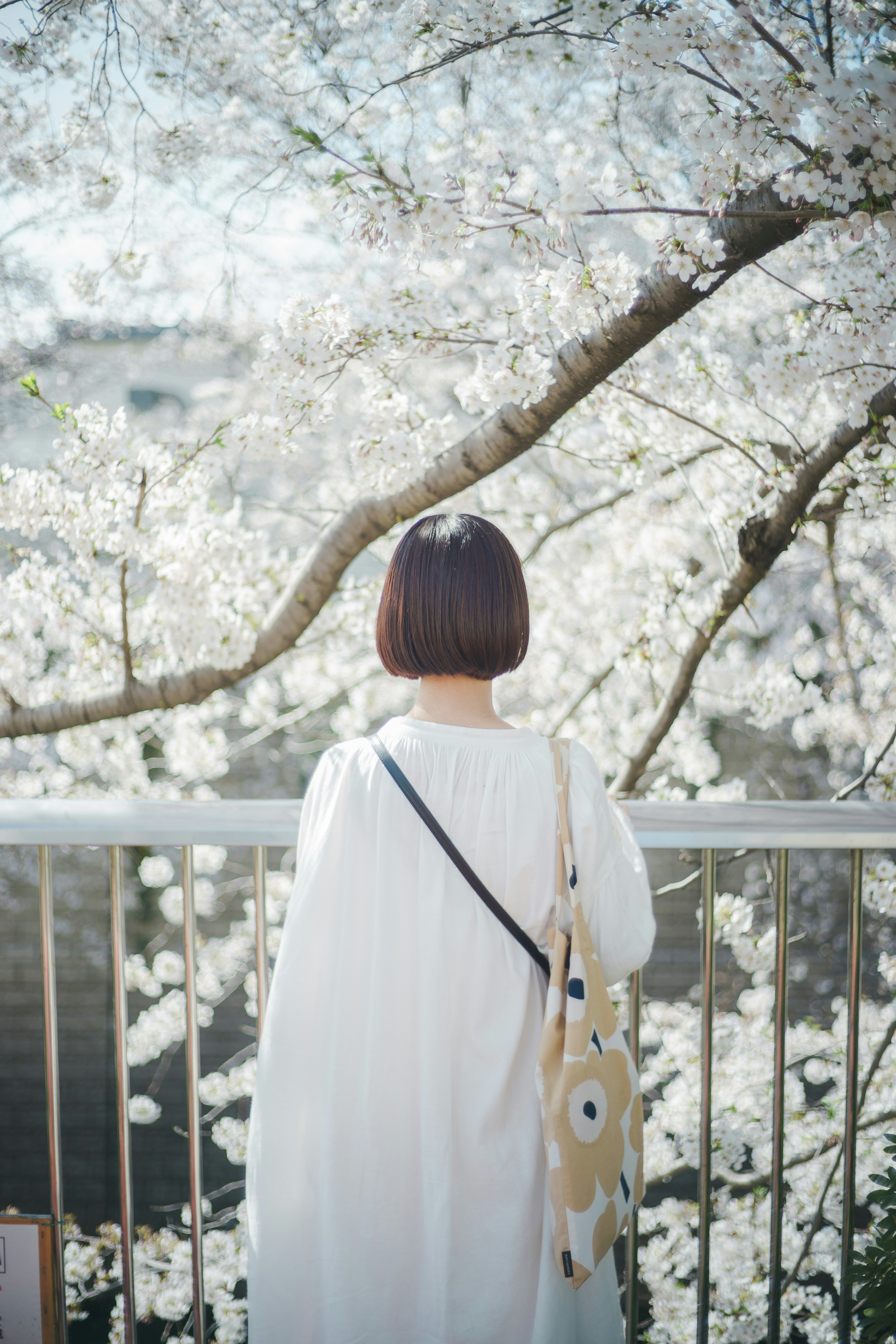 Una mujer con un vestido blanco de pie bajo los cerezos en flor