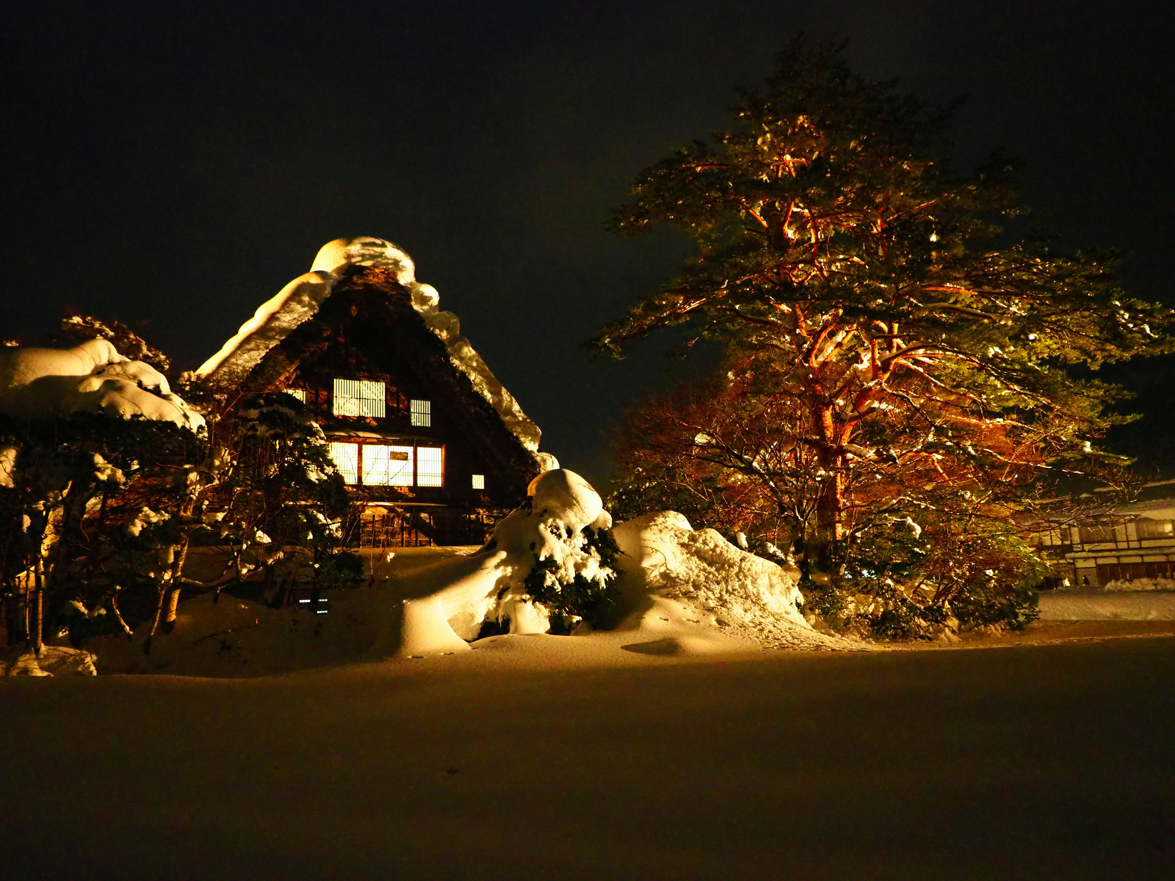 Casa tradizionale giapponese coperta di neve con un albero splendidamente illuminato di notte