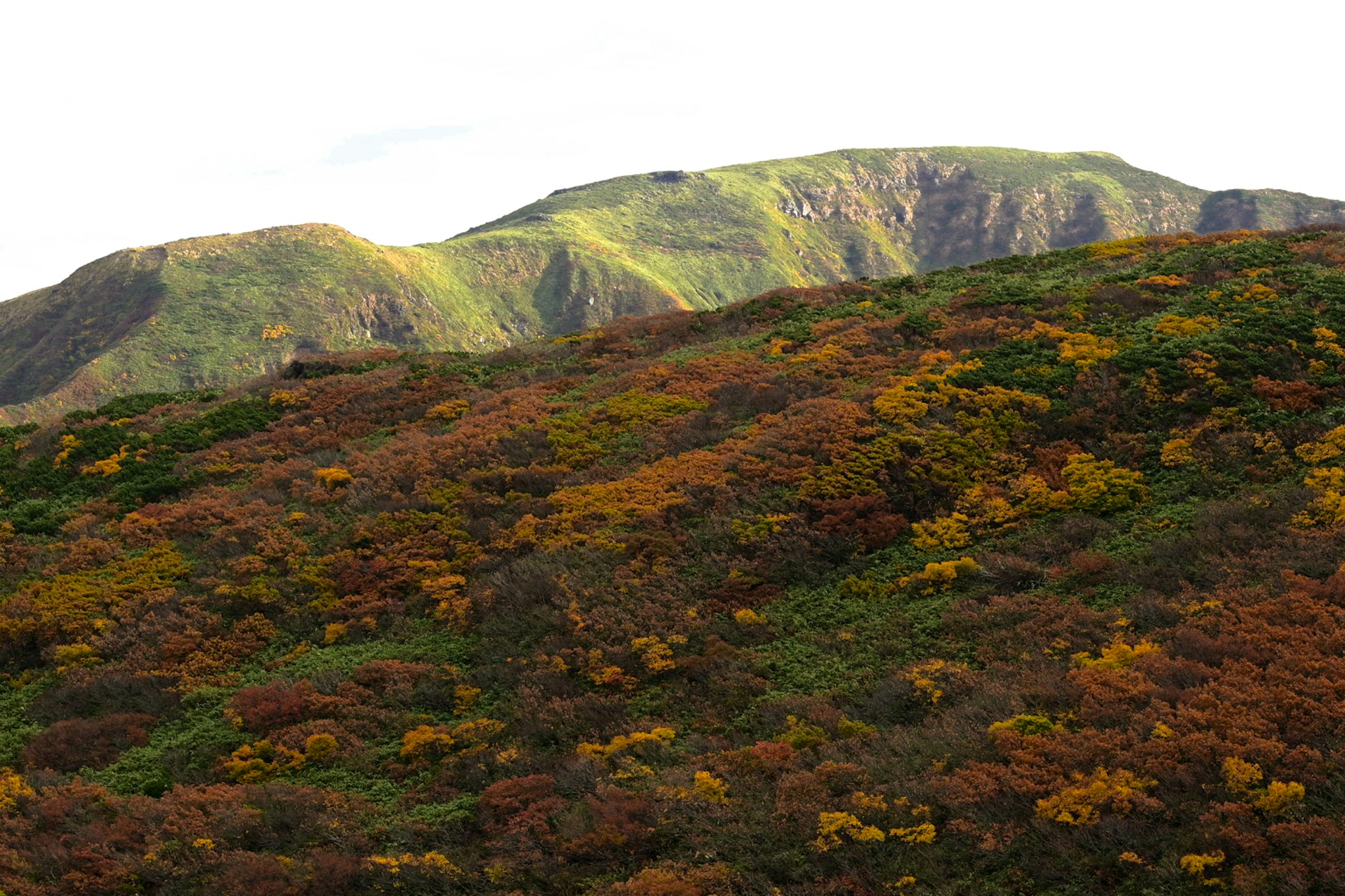 色とりどりの秋の山々と緑の丘の風景