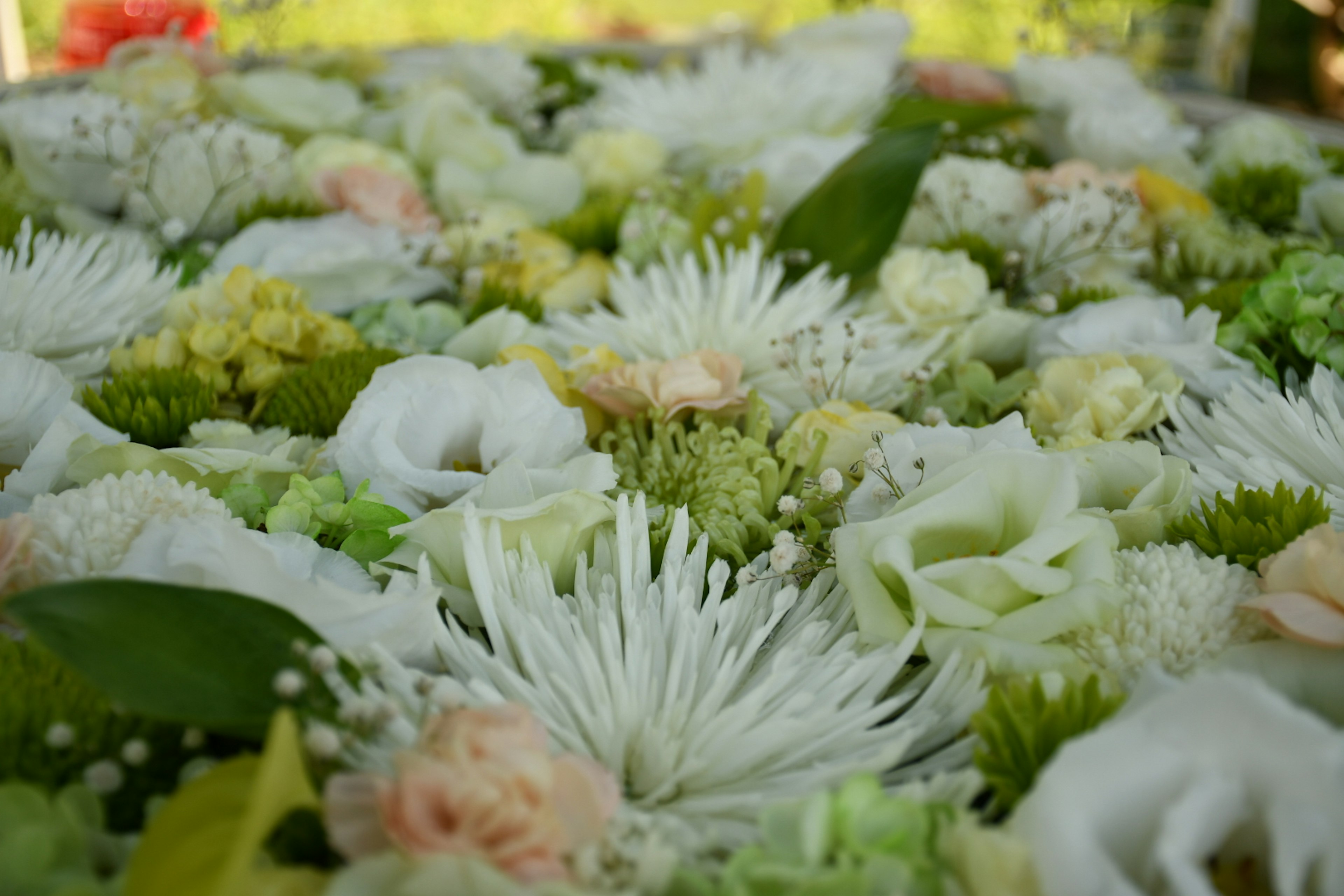 Schöne Anordnung von bunten Blumen