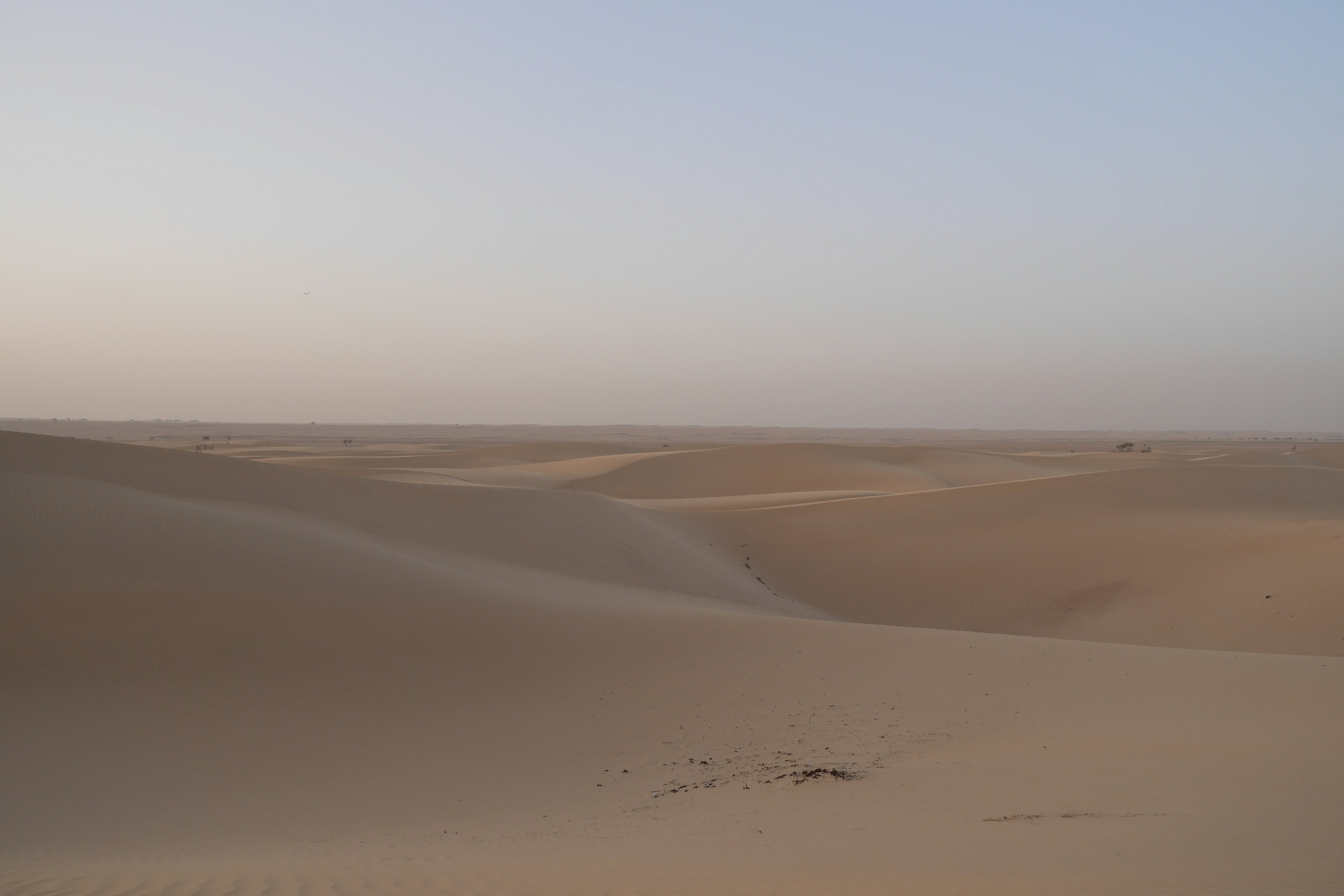 Weite Wüstenlandschaft mit sanften Sanddünen und hellem Himmel