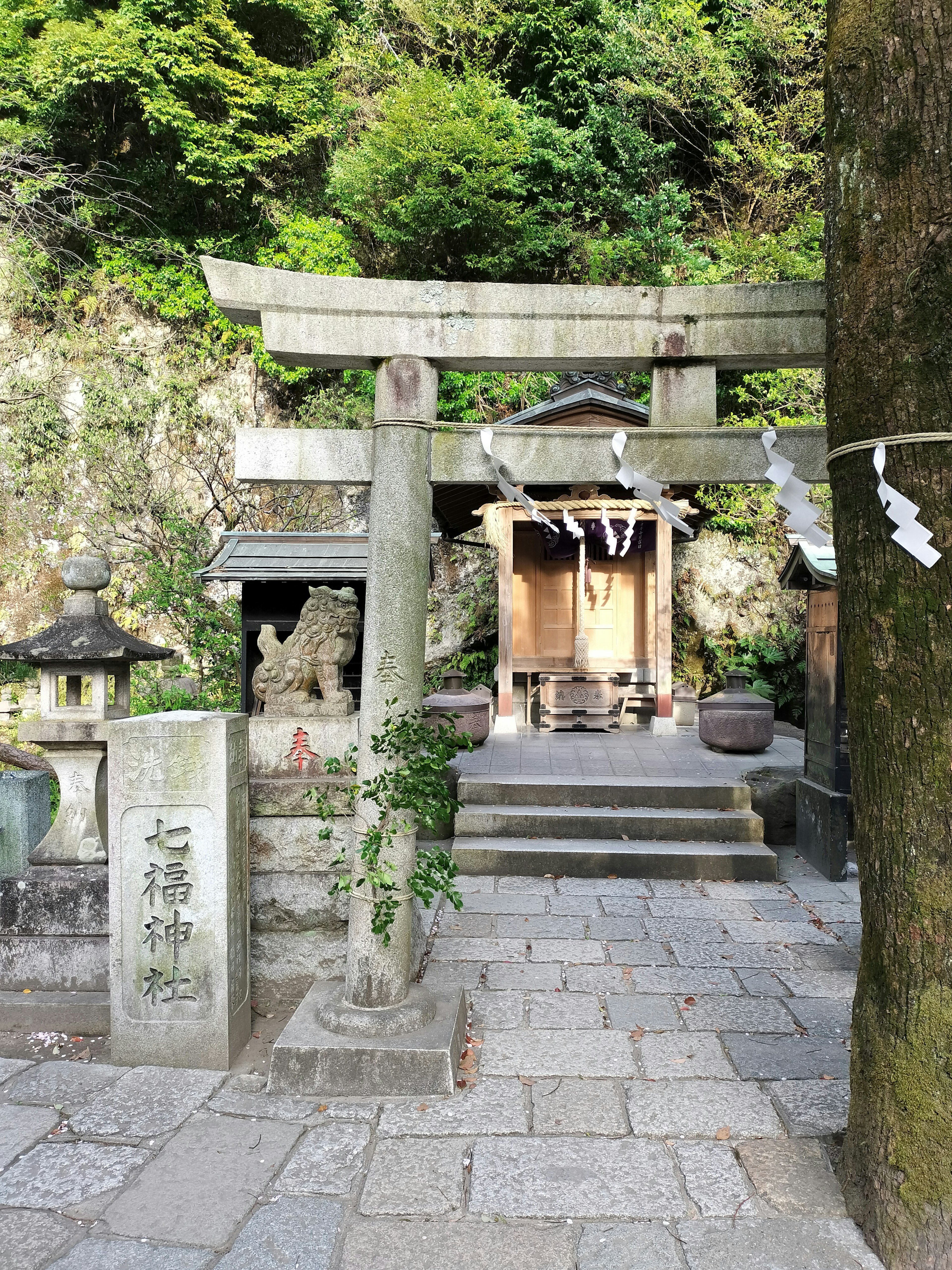 Entrance to a shrine featuring a torii gate and a small shrine building