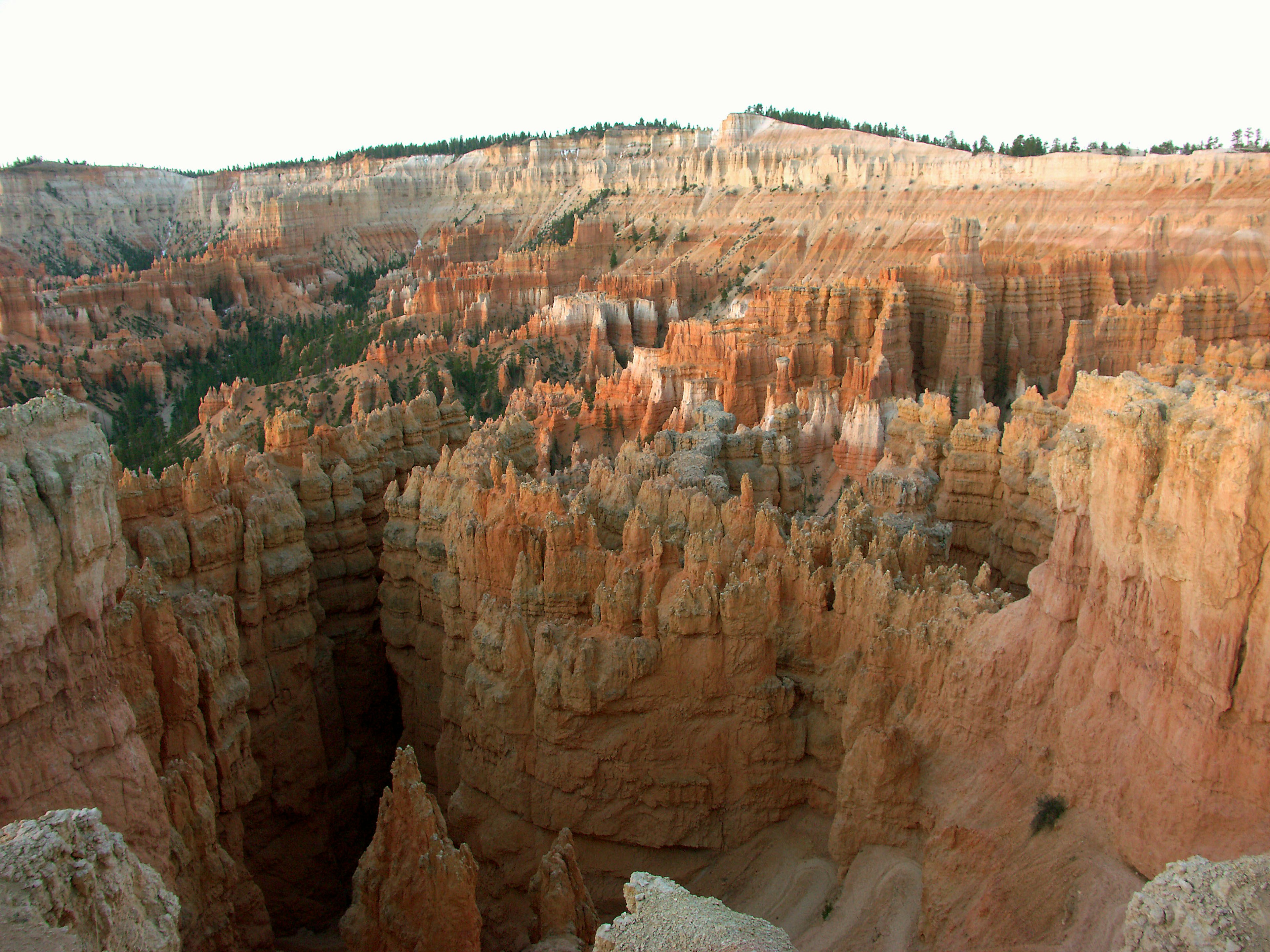 Landscape of unique rock formations in Bryce Canyon