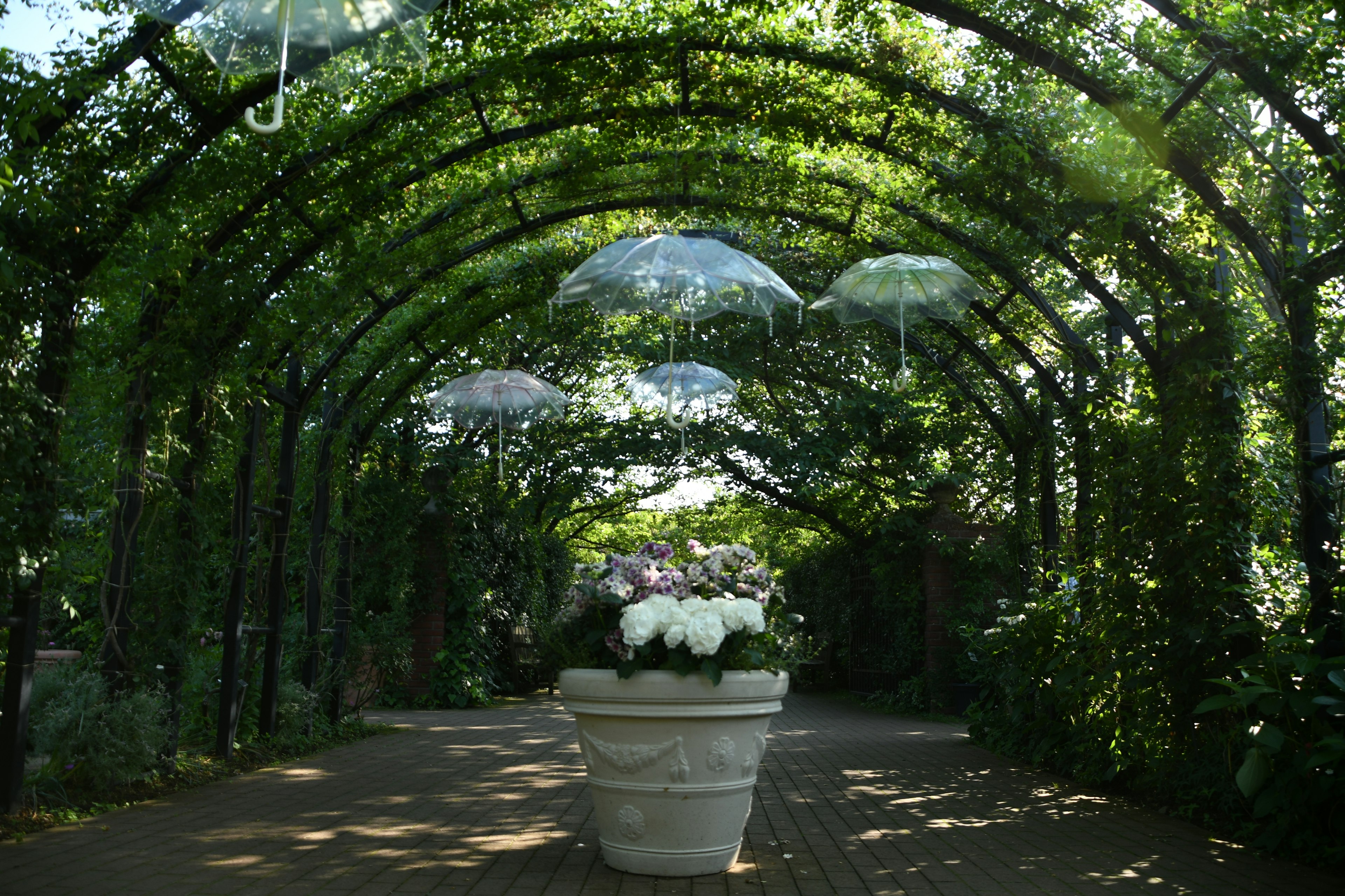 緑のアーチの下に白い花の鉢がある美しい庭の風景