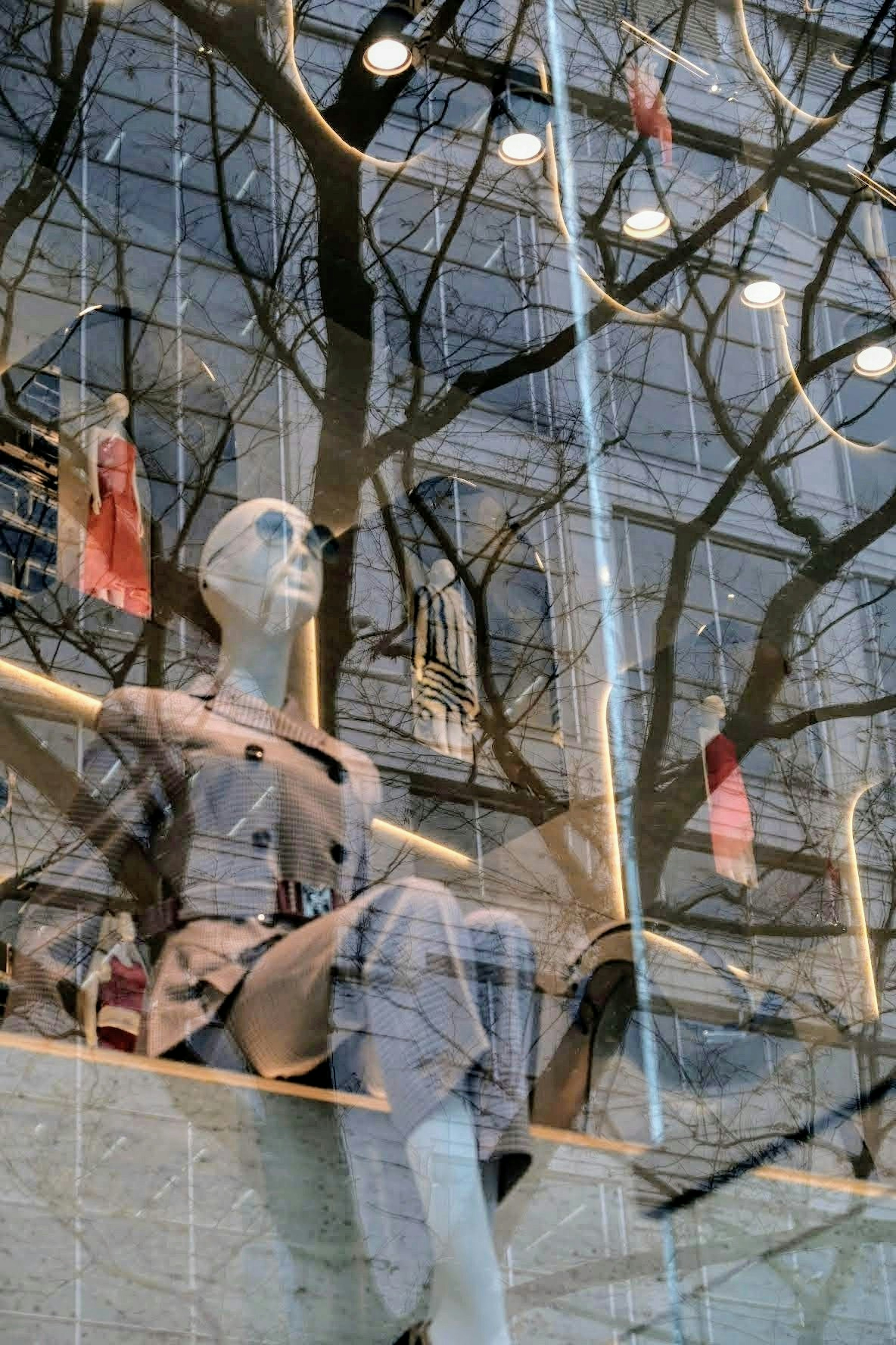 Mannequin sitting in a window display with tree reflections