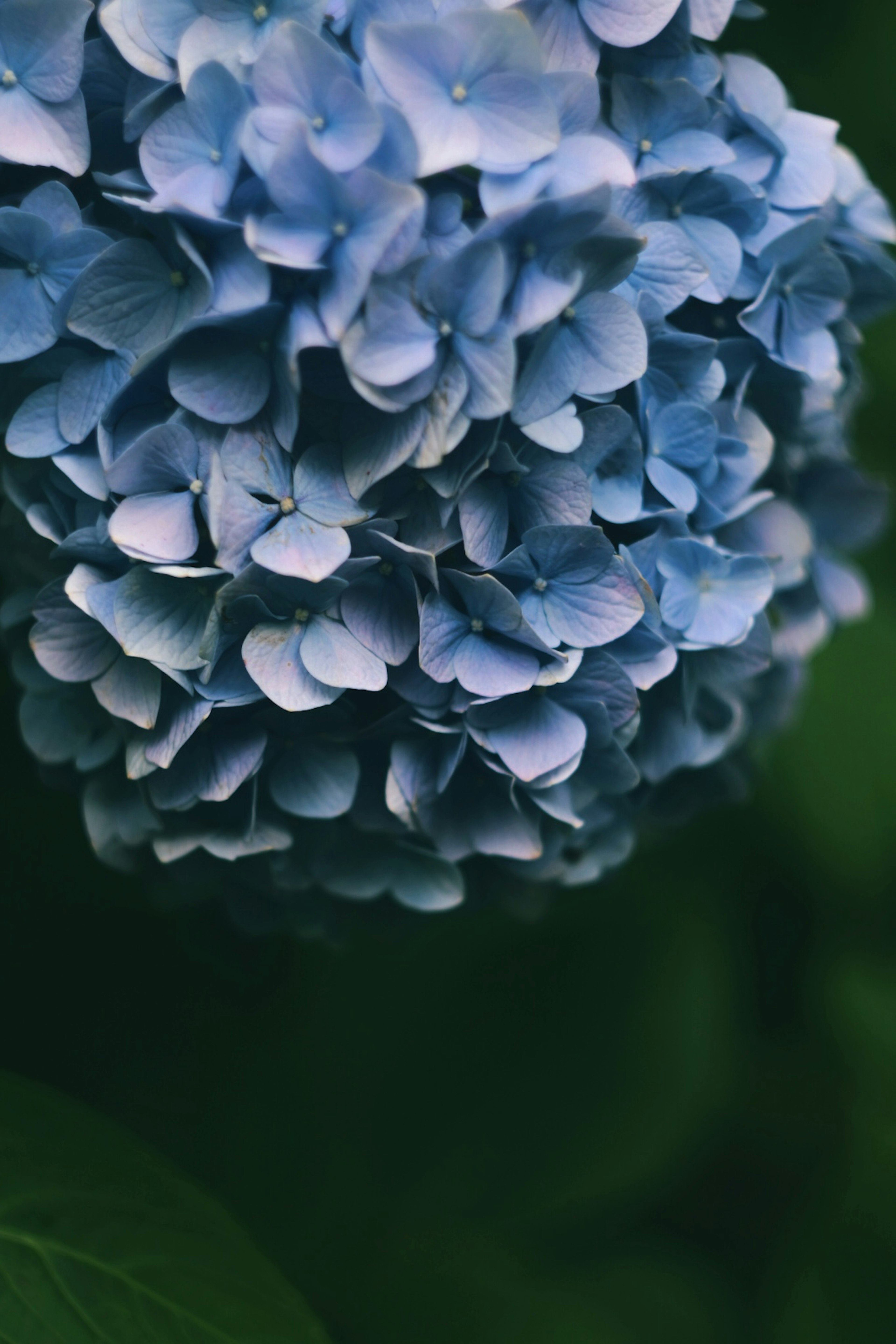 photo-INYVp2YdxK7GjvvUw1l8-image