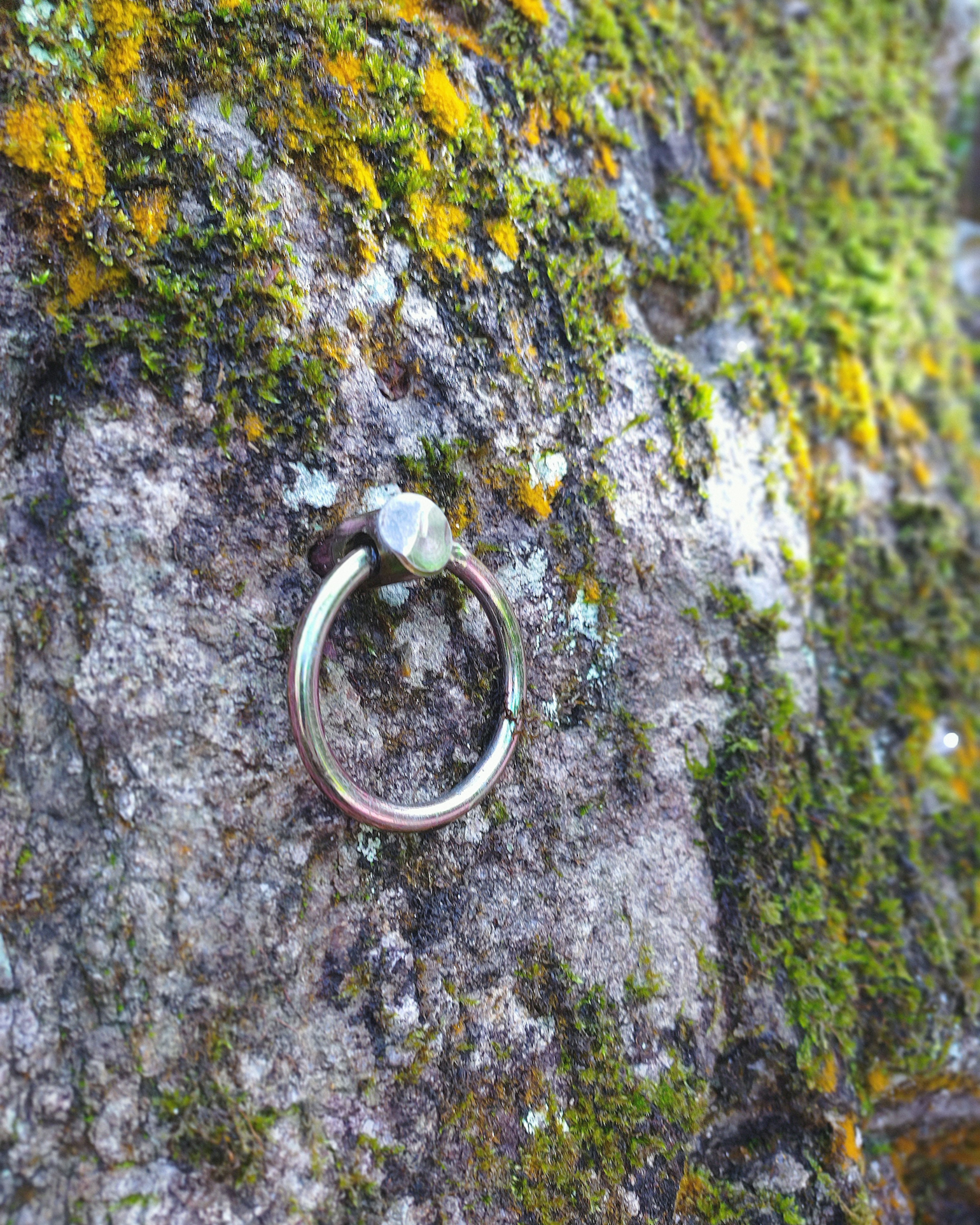 Un anillo simple descansando sobre una roca cubierta de musgo