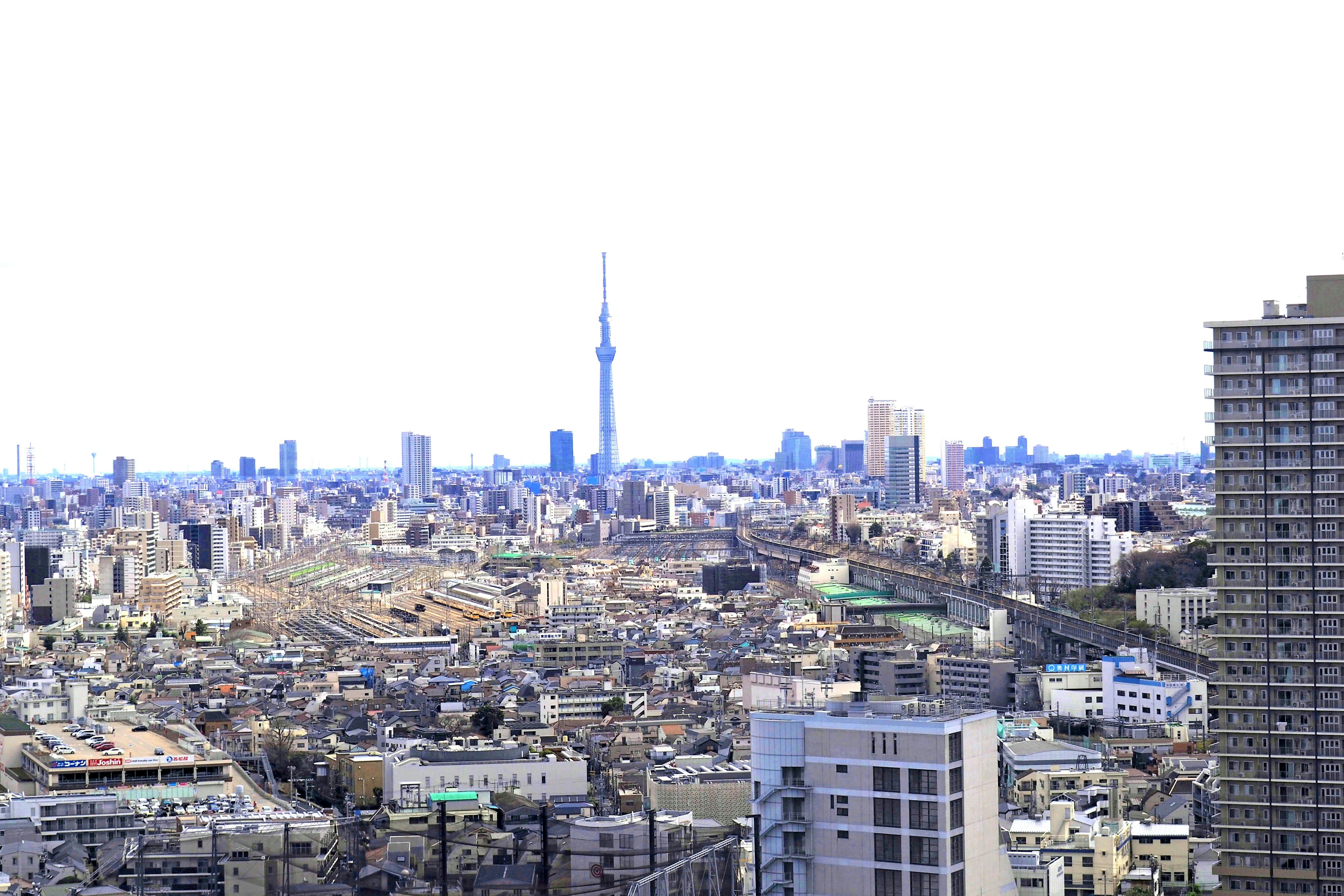 A panoramic view of Tokyo with the Skytree visible among urban buildings