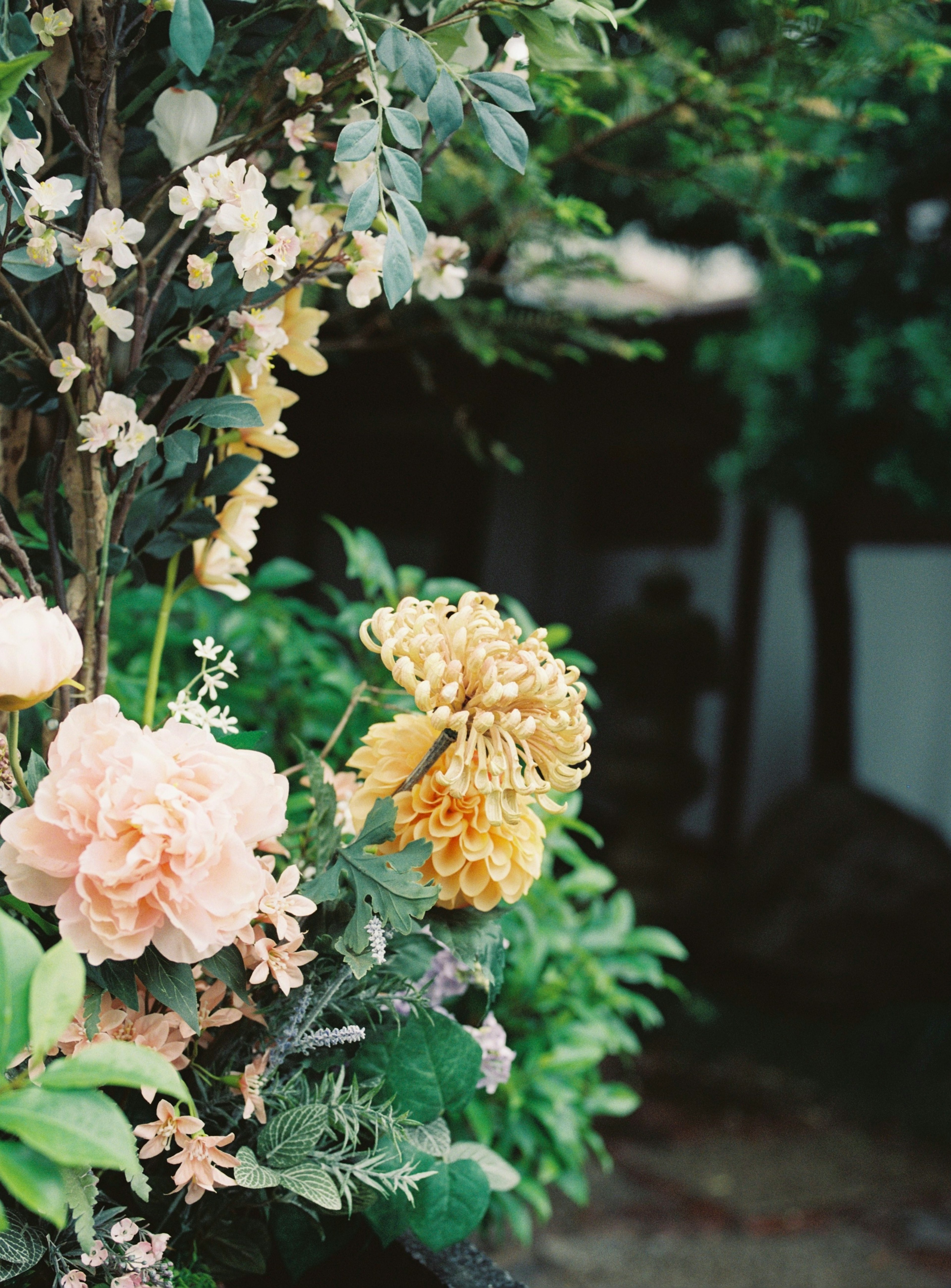 色とりどりの花がある緑の風景の近くにある美しい植物