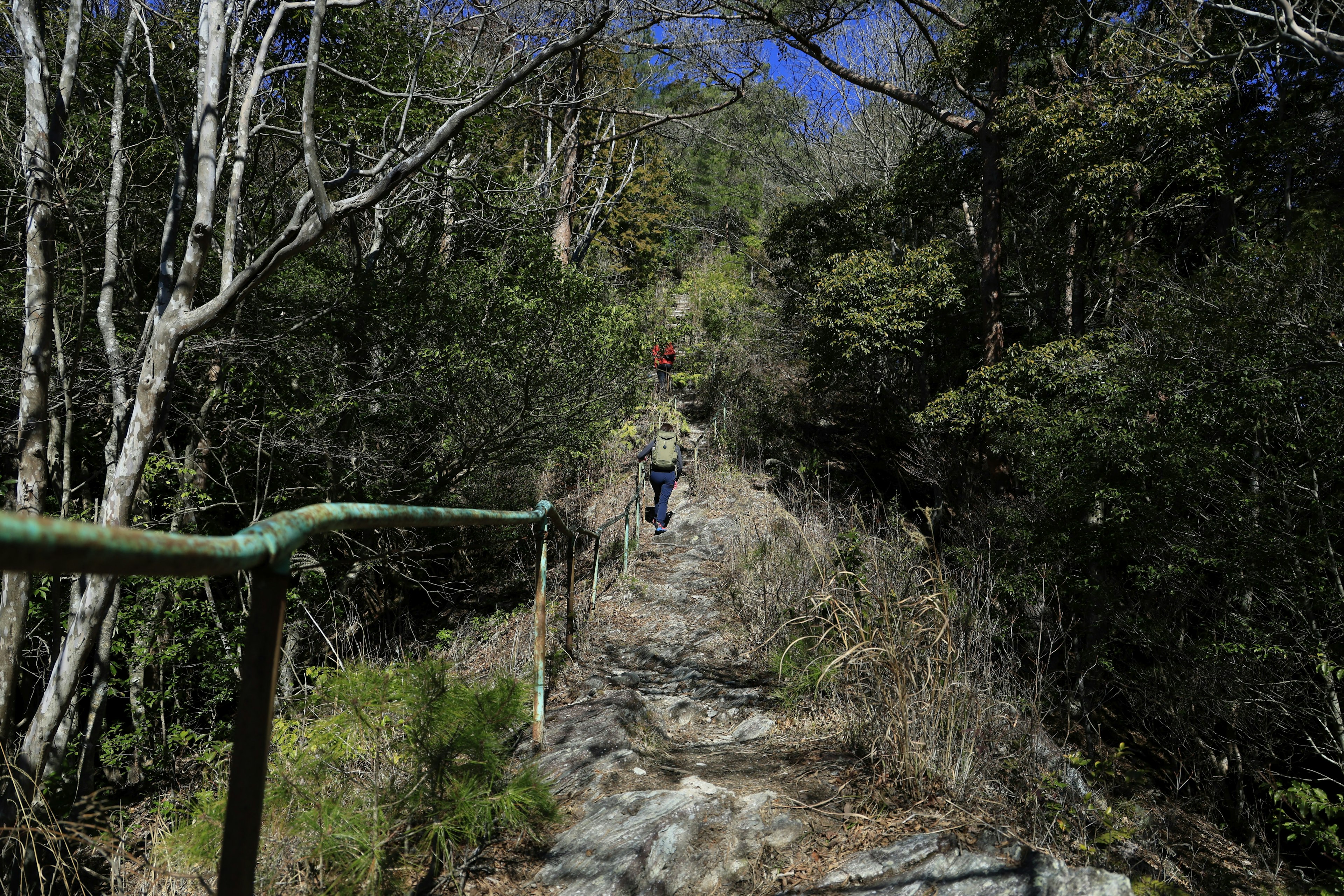 Excursionistas ascendiendo por un sendero montañoso accidentado rodeado de árboles