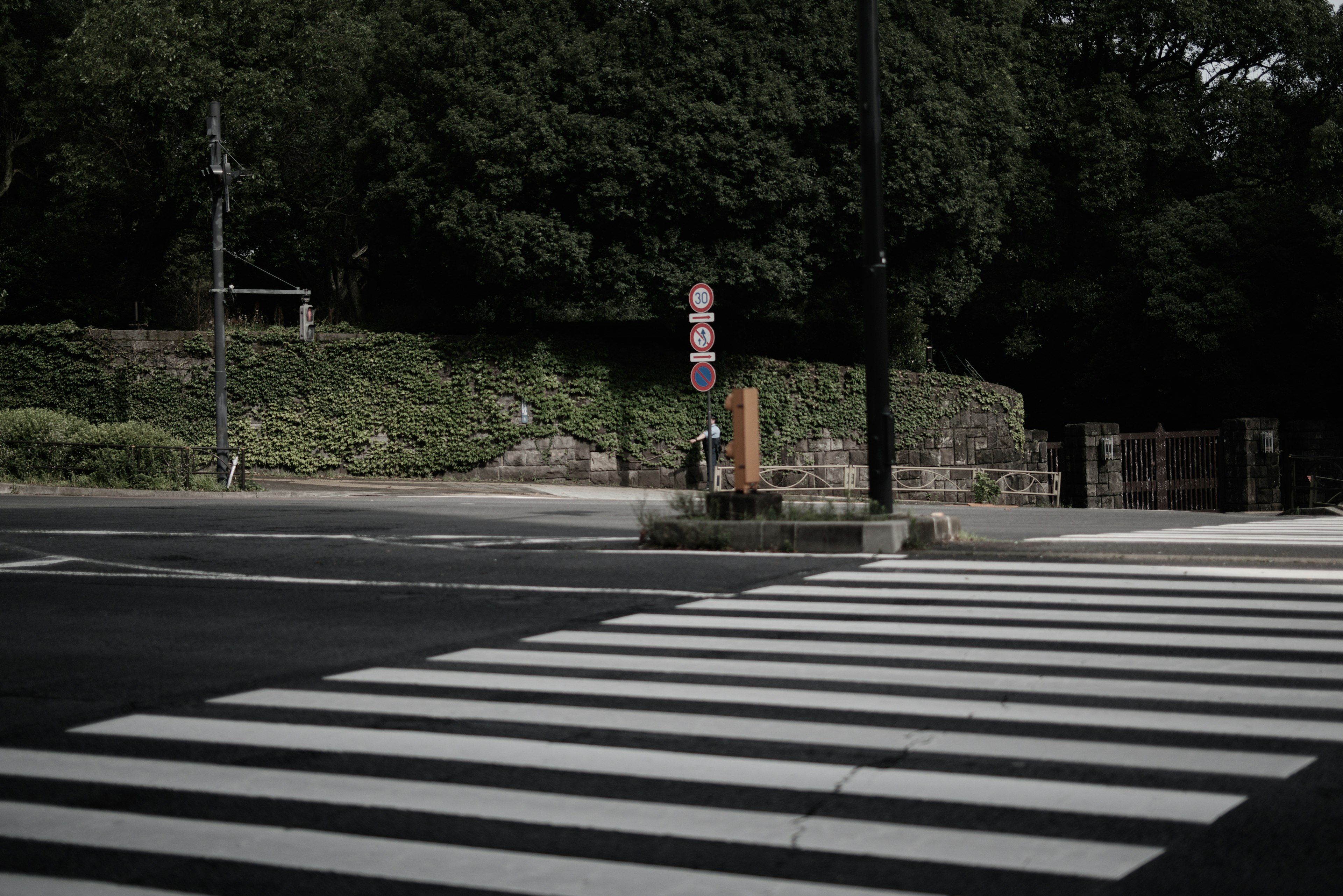 Quiet street corner with crosswalk and signs in a dark background