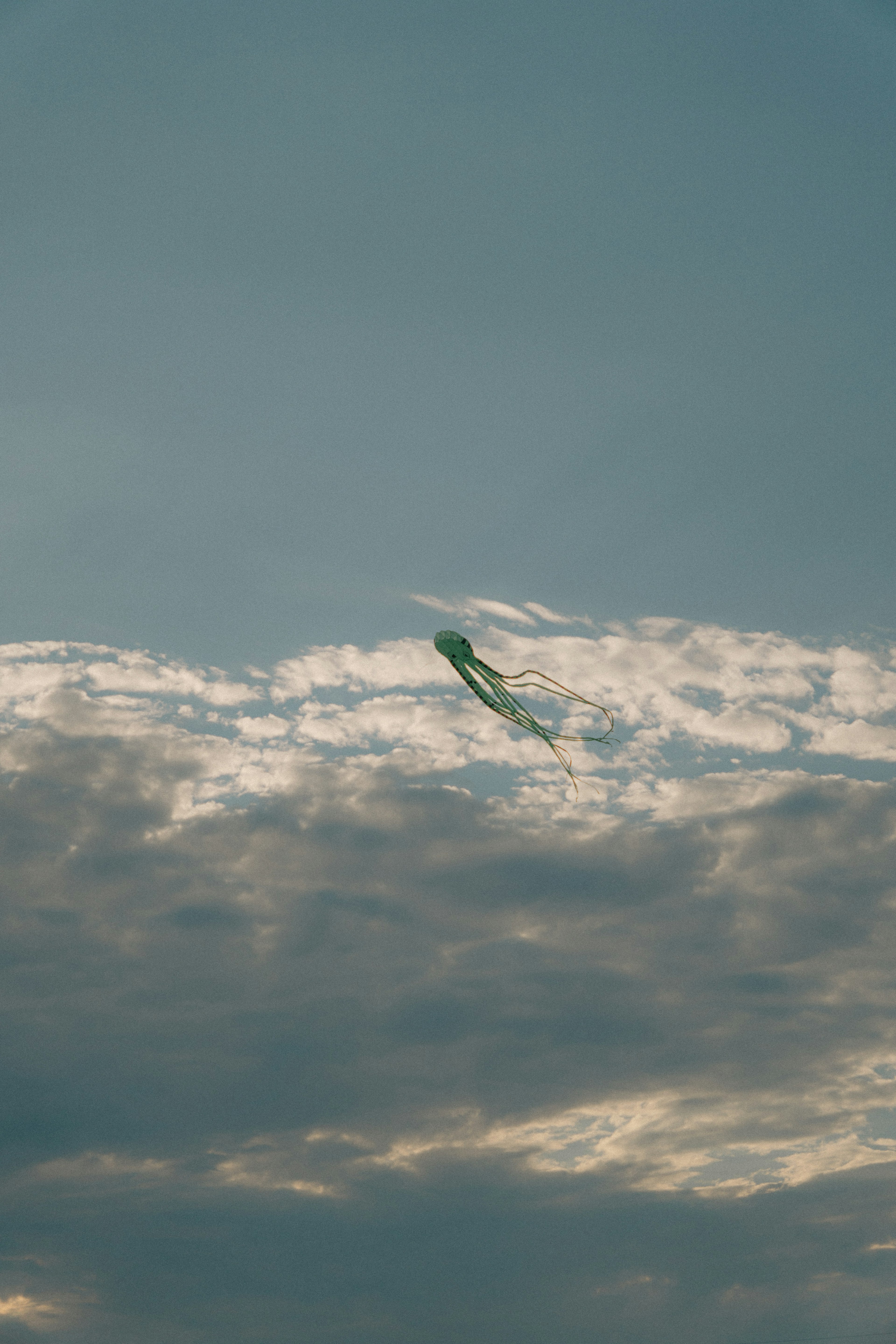 Green kite flying in the sky among clouds