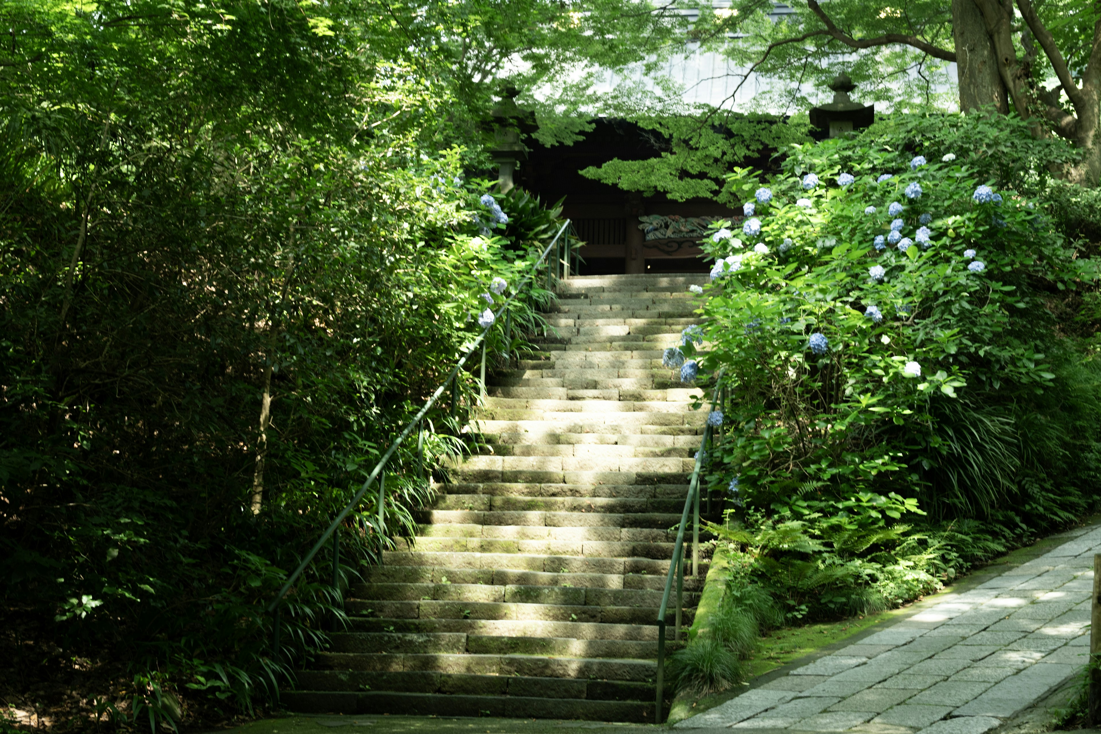 緑に囲まれた階段と紫陽花の花が見える風景