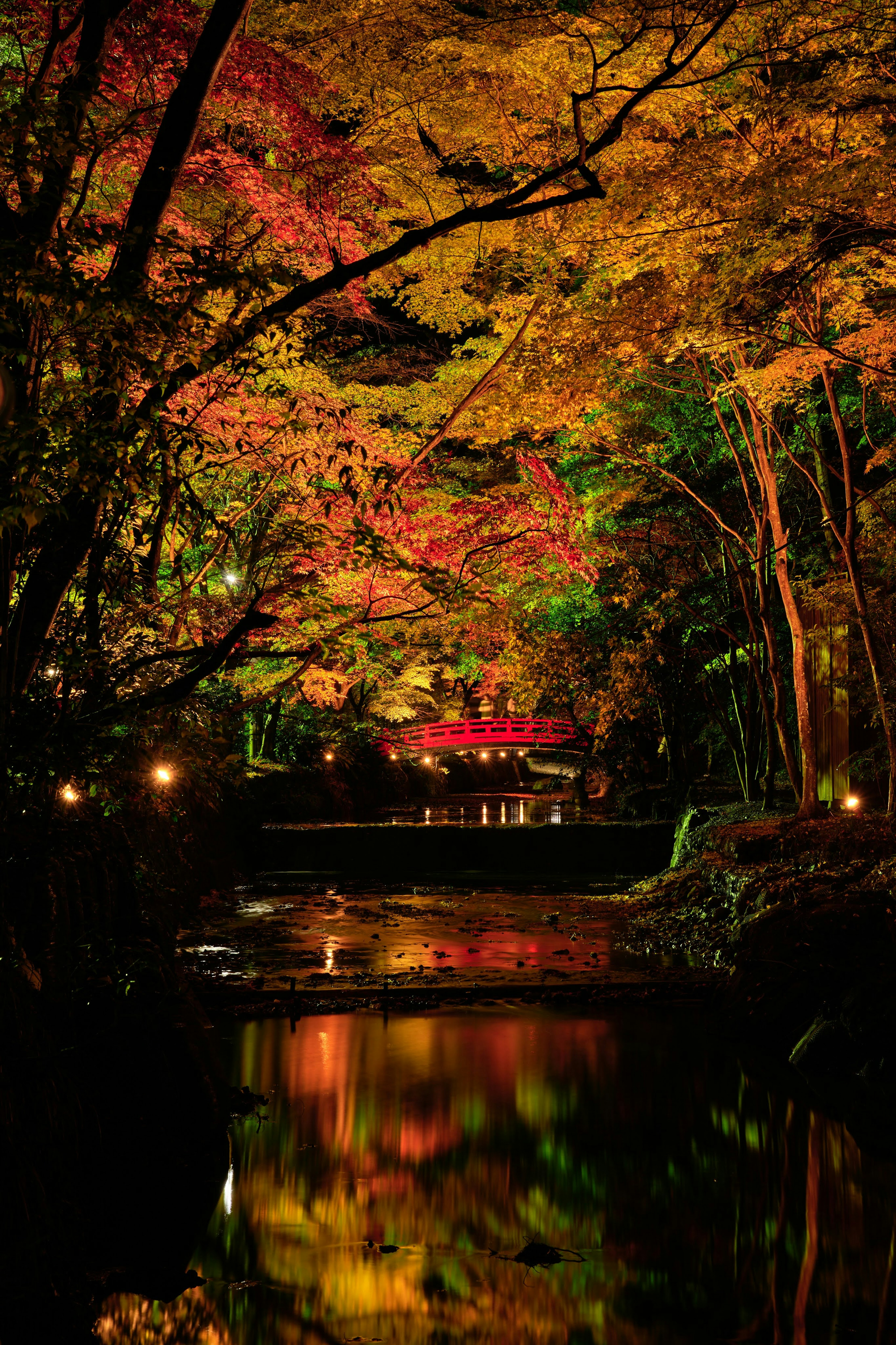 Serene riverside scene with autumn foliage reflecting on the water and a red-roofed building