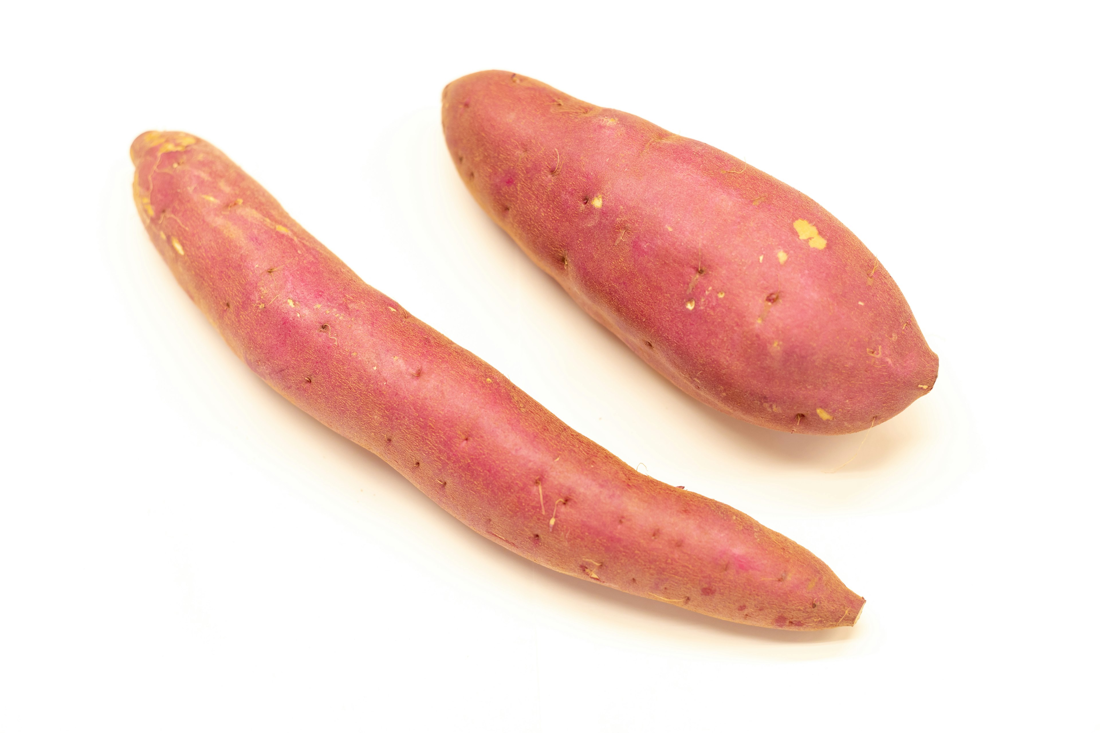 Two purple sweet potatoes on a white background