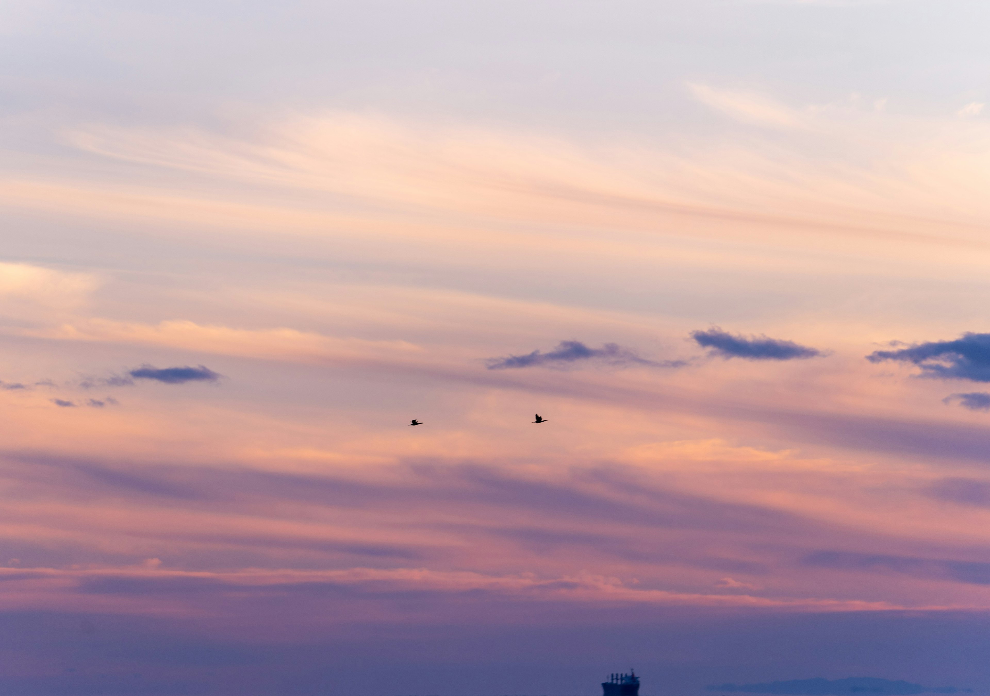 Ciel de coucher de soleil avec des nuages et des oiseaux volant