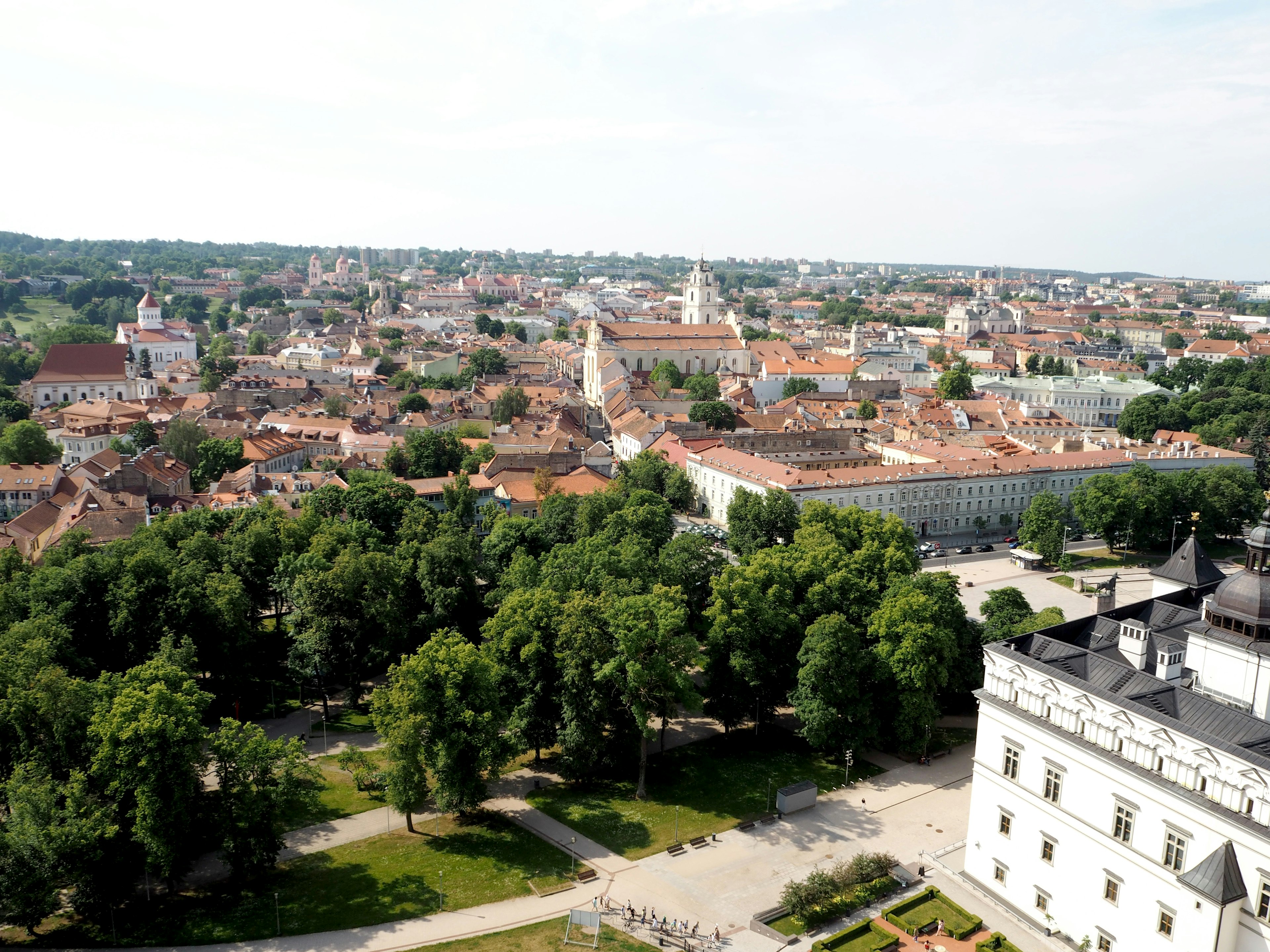 Panoramic view of a Lithuanian city featuring green trees and red-roofed buildings