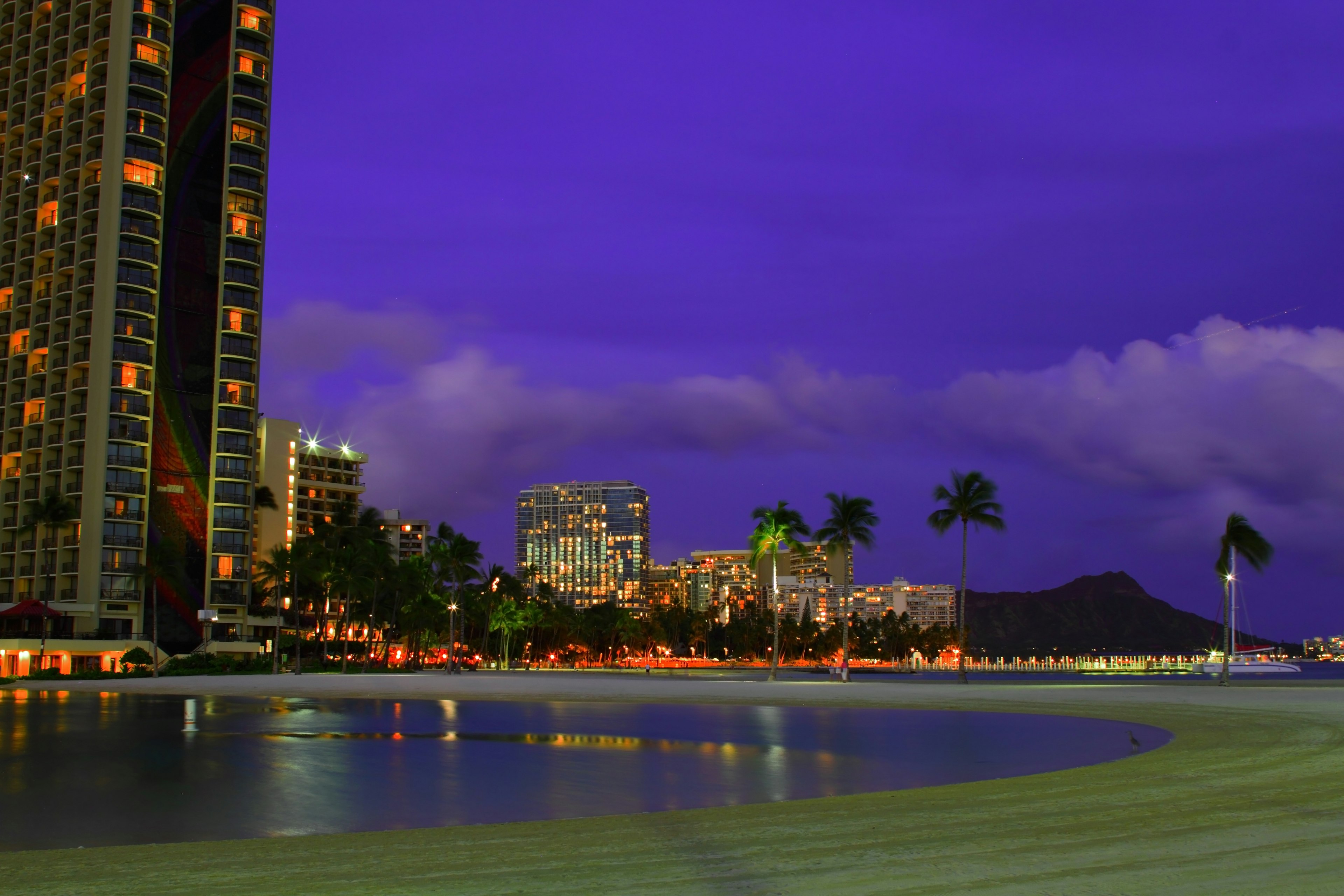 Coastal night scene with skyscrapers and palm trees illuminated by city lights under a purple sky