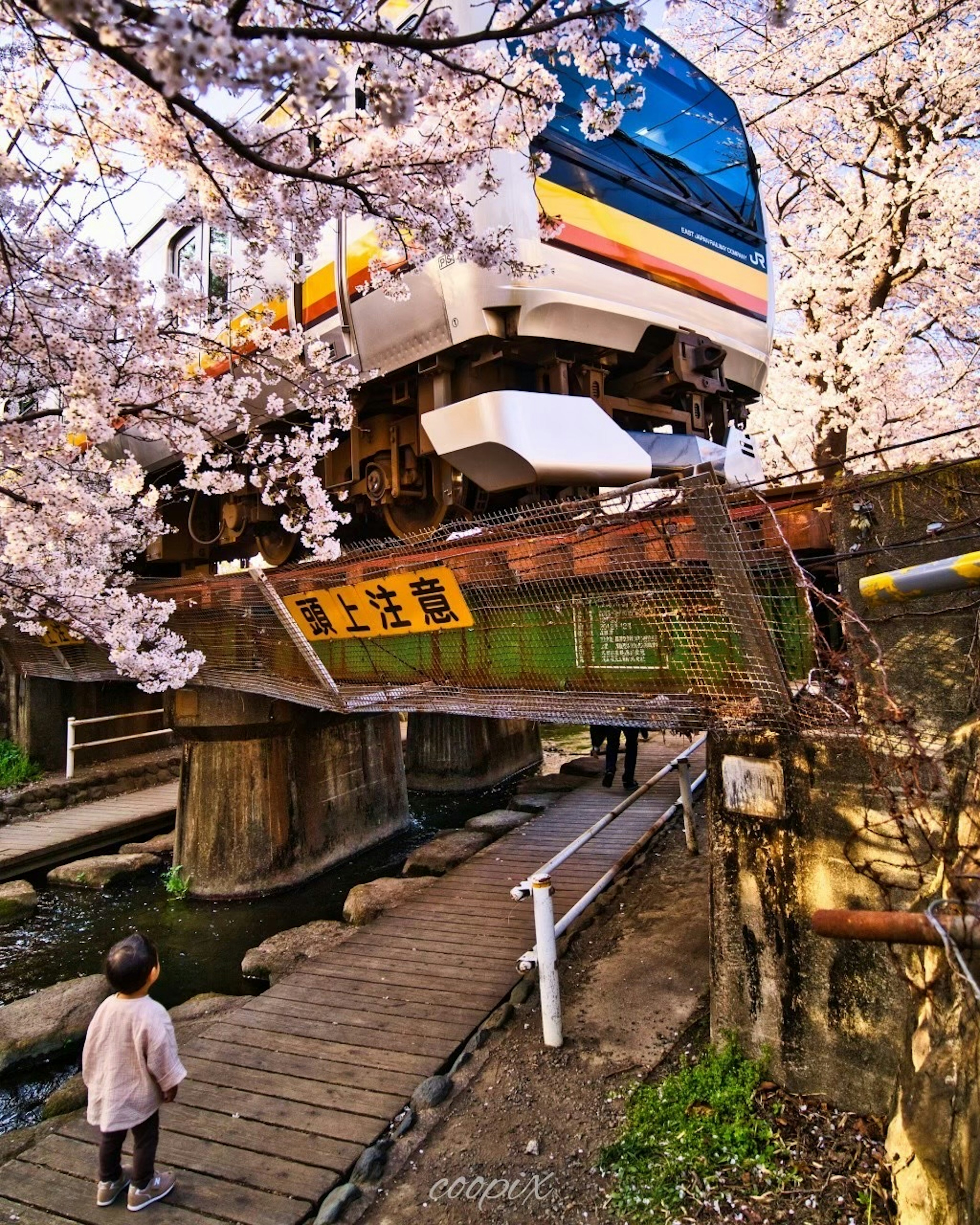 Child looking up at a train bridge under cherry blossom trees