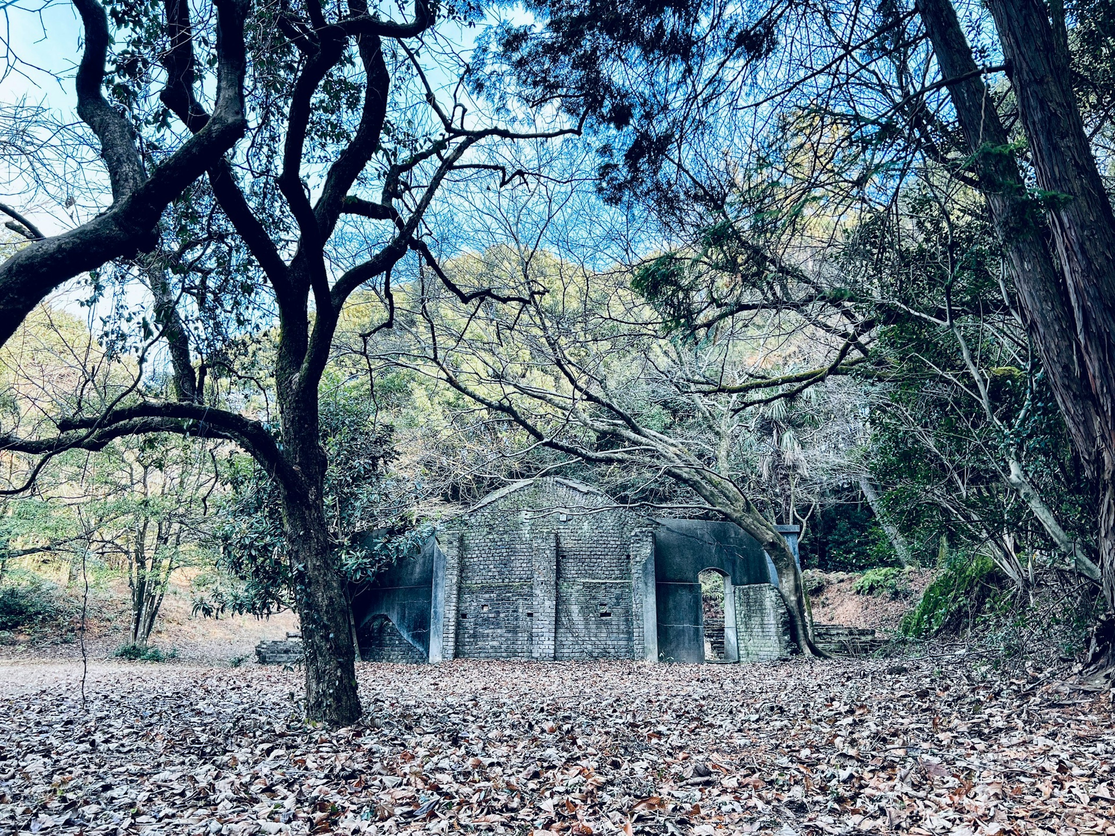 Abandoned concrete building surrounded by trees and fallen leaves