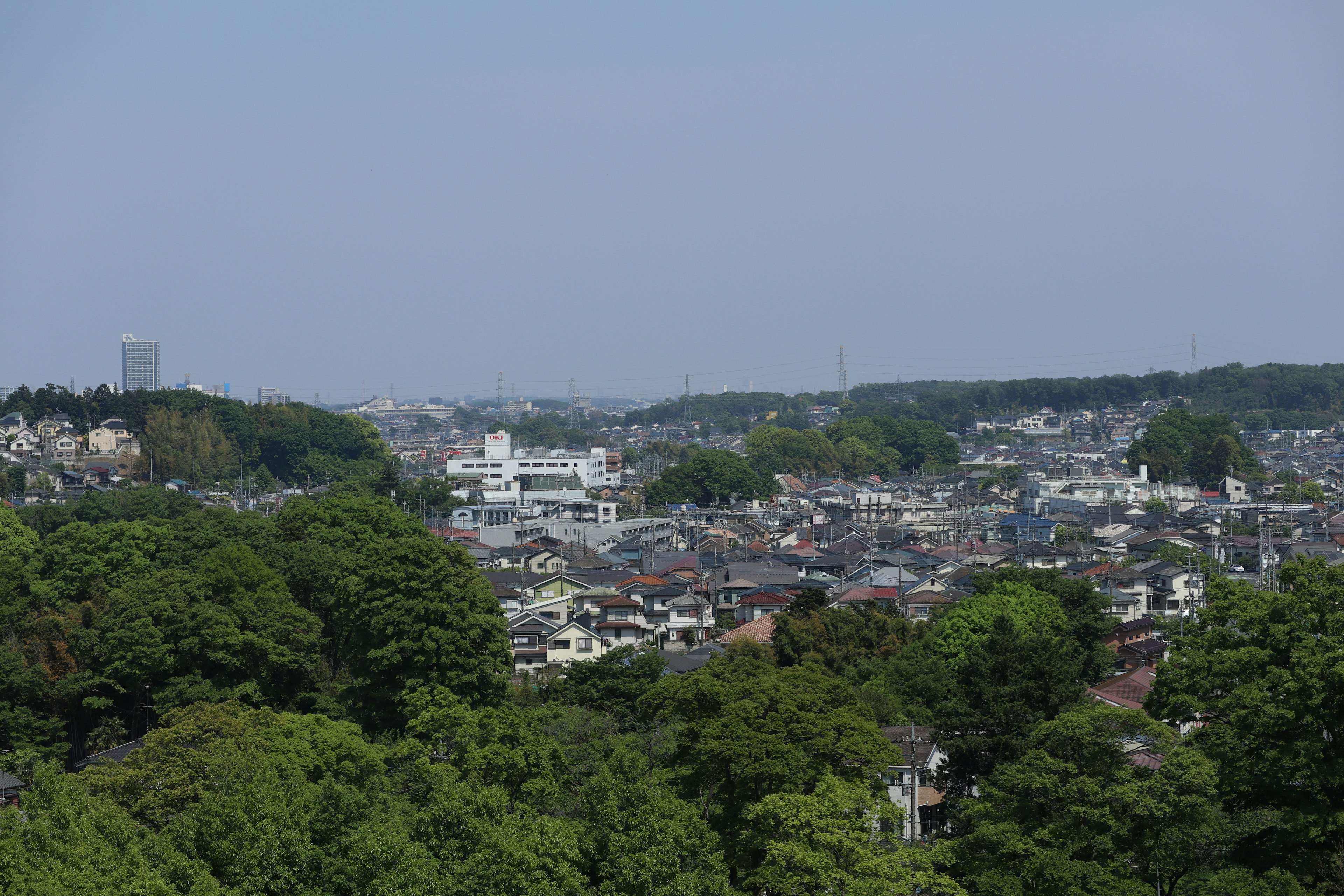 Urban landscape viewed from a lush green hill