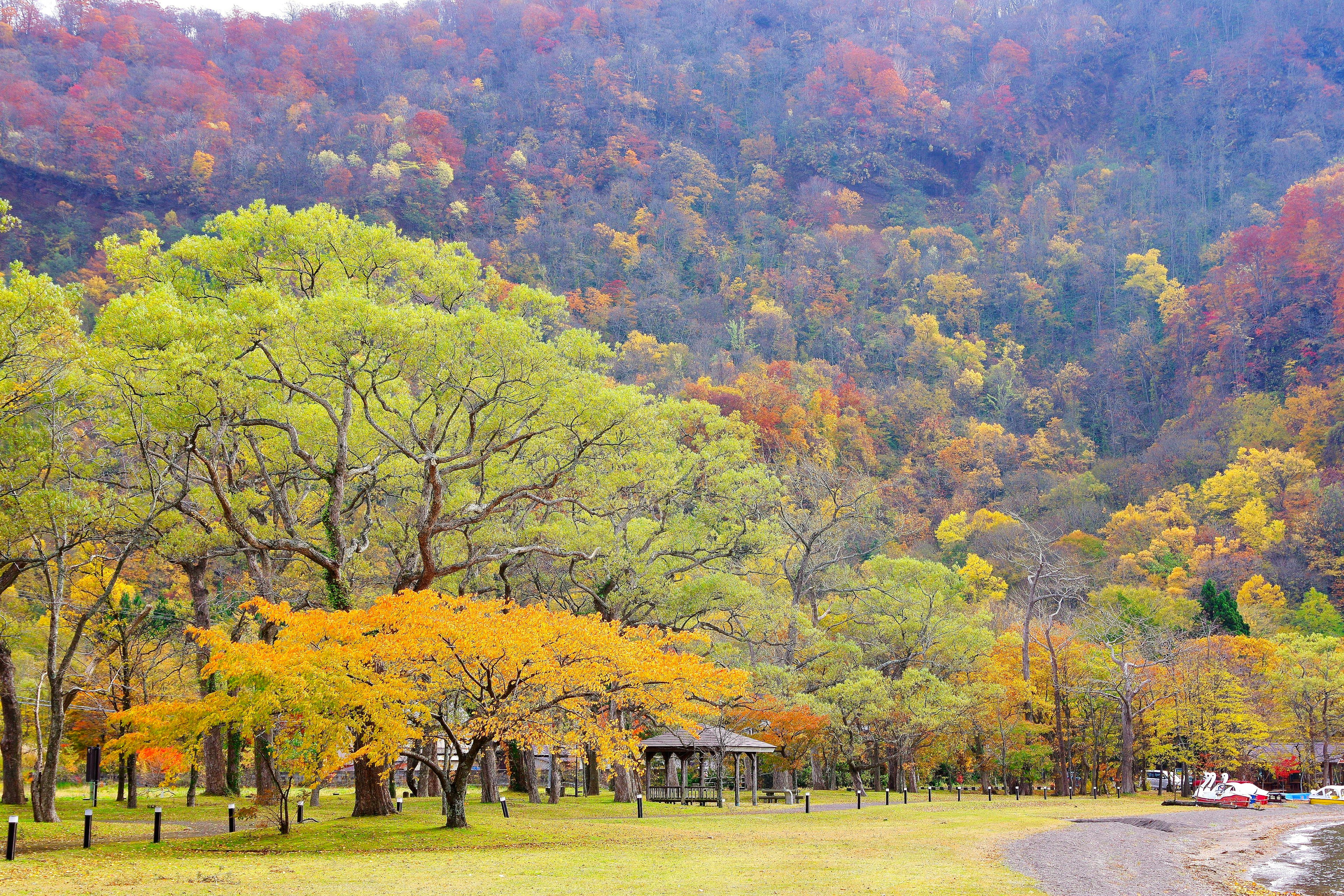 秋の紅葉に彩られた山と広い草原の風景