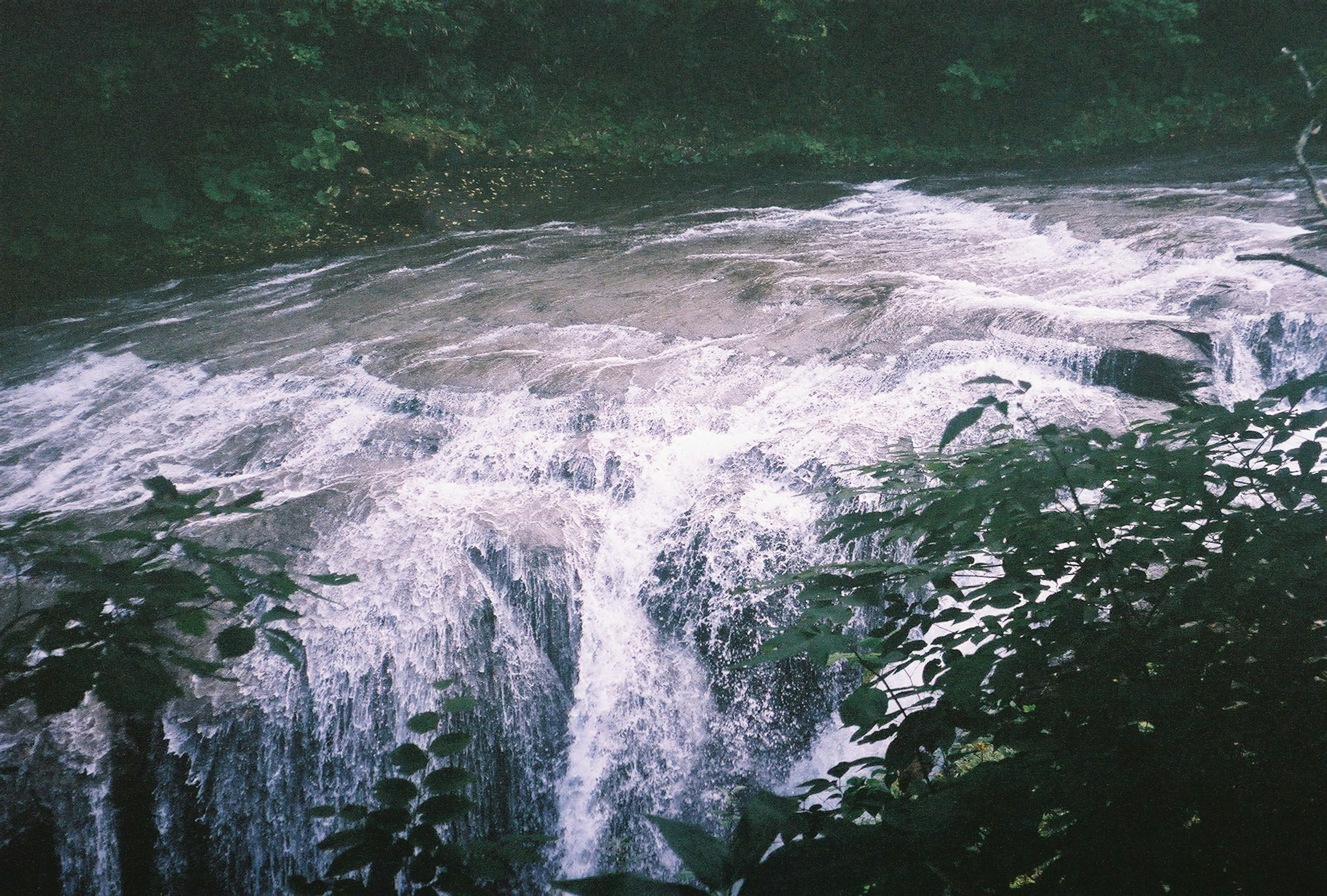 Fließender Wasserfall umgeben von üppigem Grün