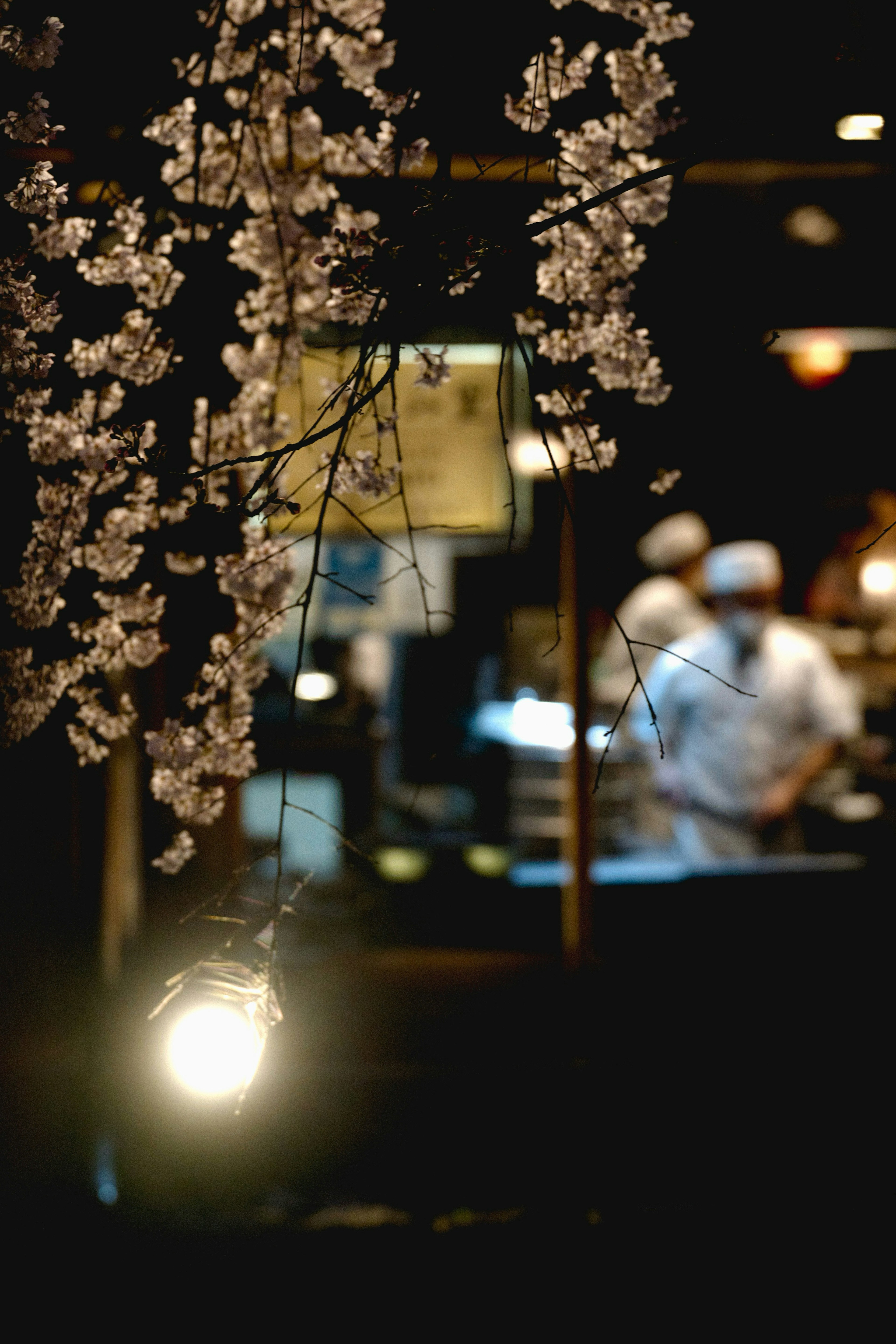 Flores de cerezo colgando con chefs visibles en un fondo de restaurante cálido