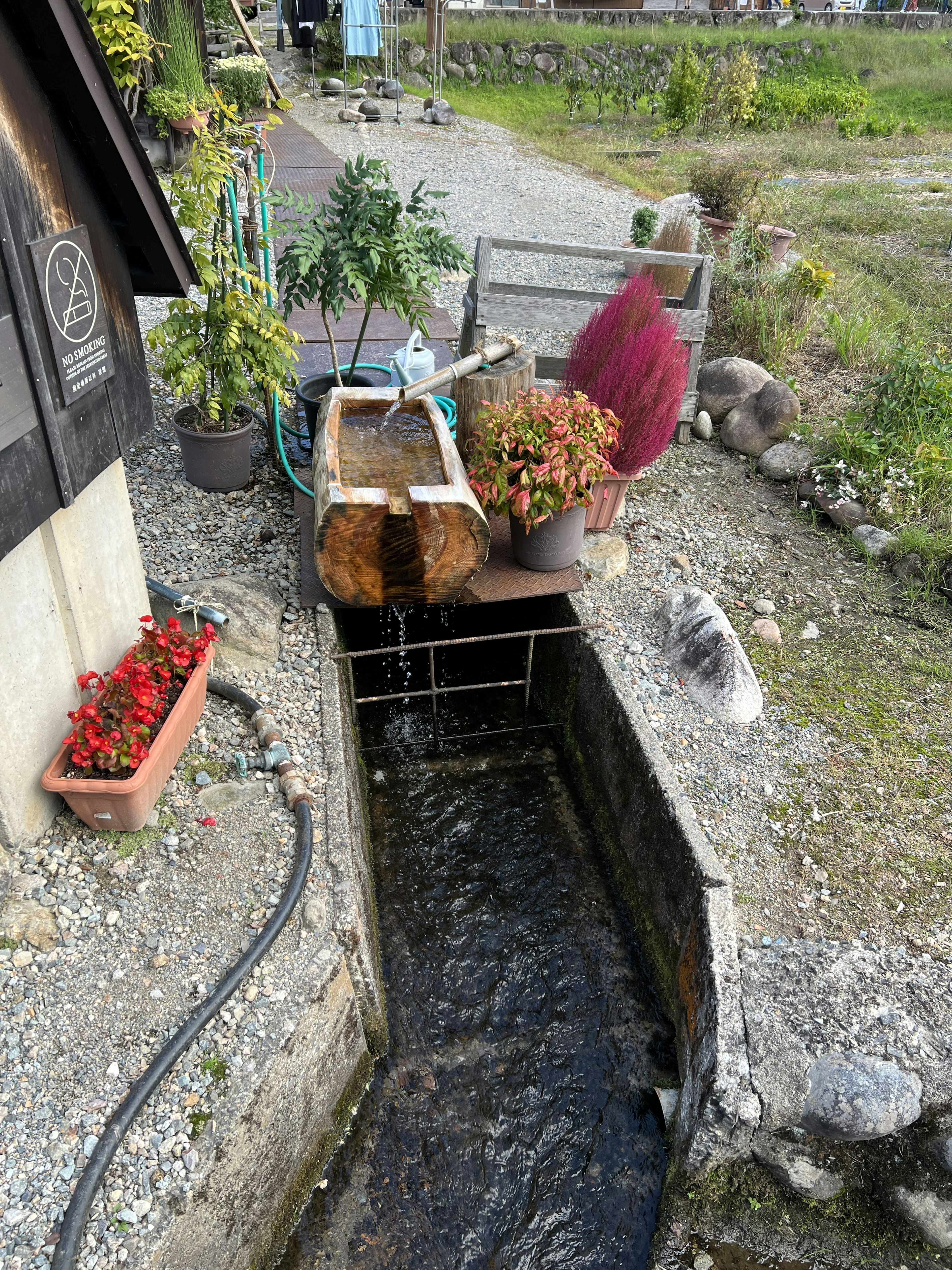 Gambar pemandangan dengan aliran sungai dan berbagai tanaman