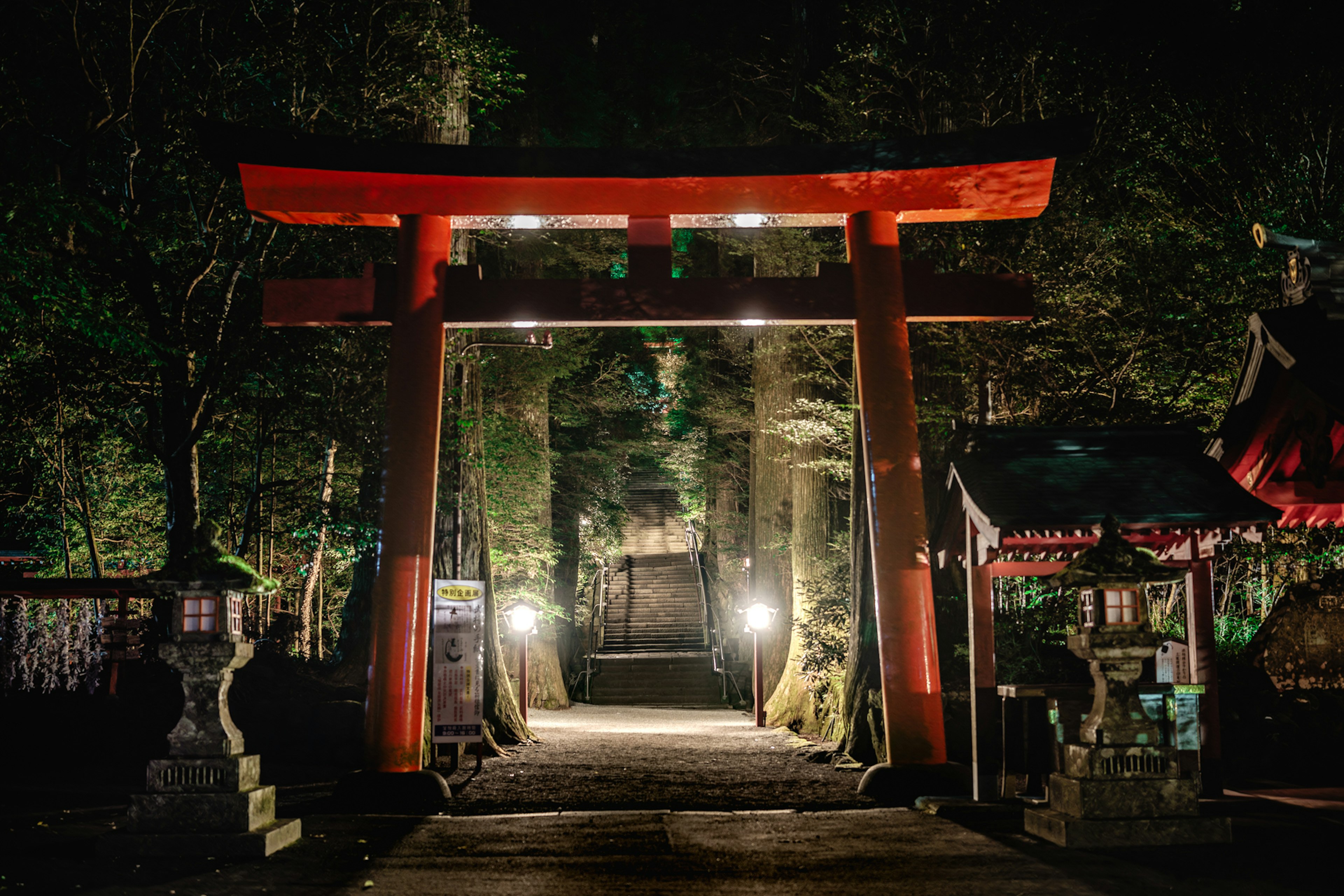 夜の神社の鳥居と灯りが映える