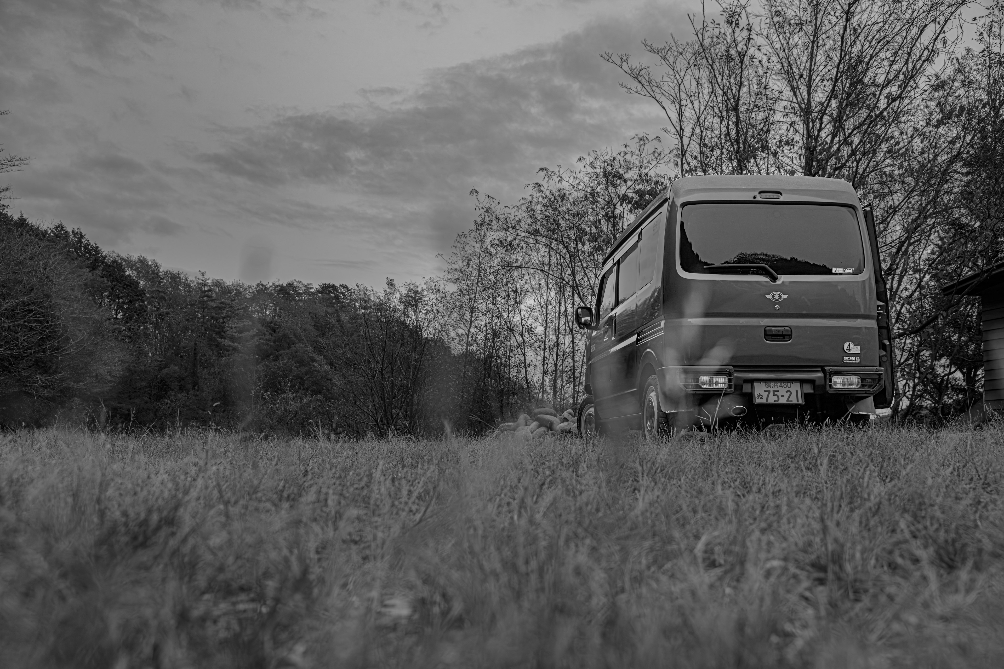 Ein Lieferwagen auf Gras mit Bäumen im Hintergrund