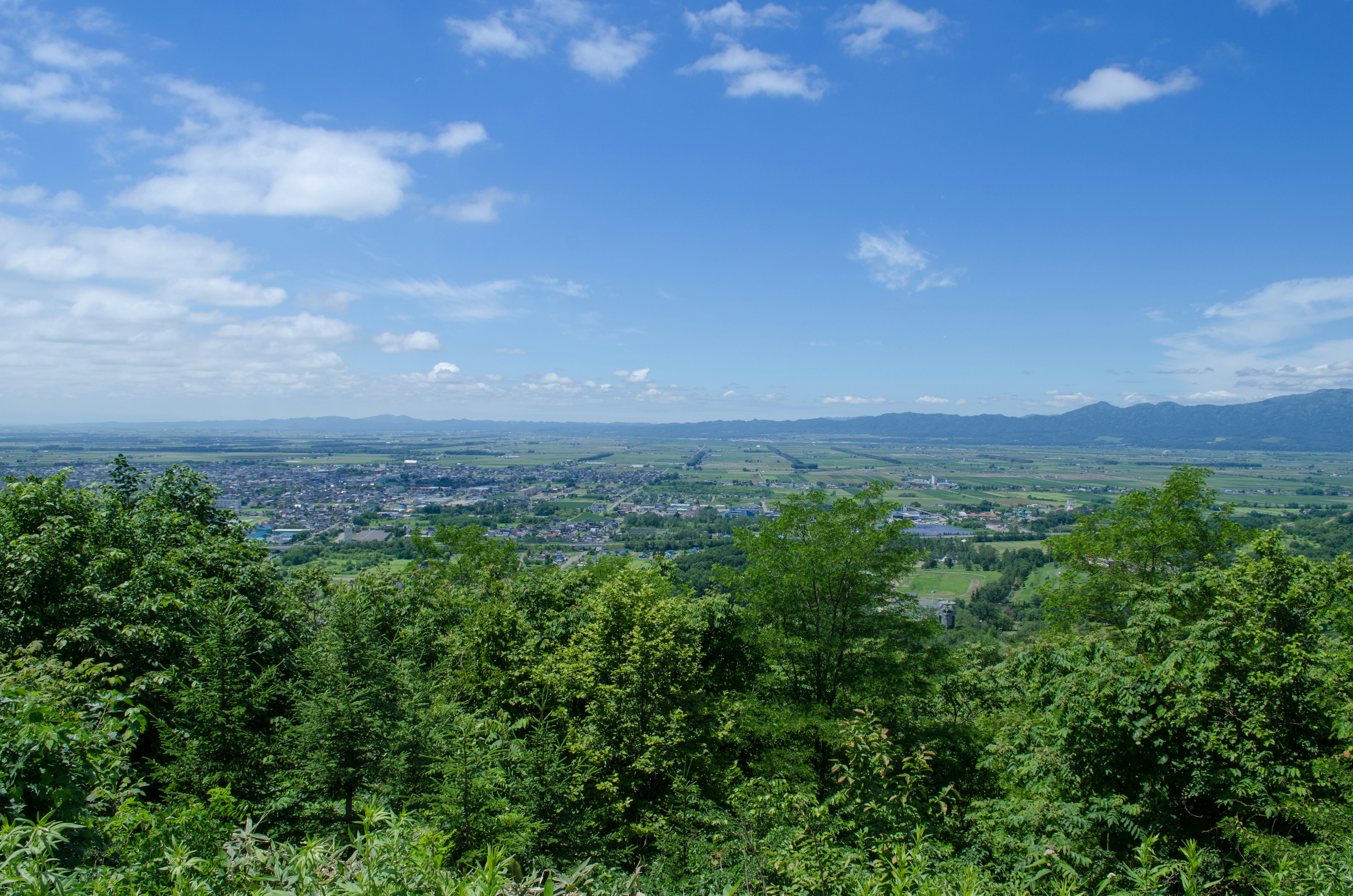 Landschaft mit üppigen grünen Bäumen unter einem blauen Himmel und fernen Bergen