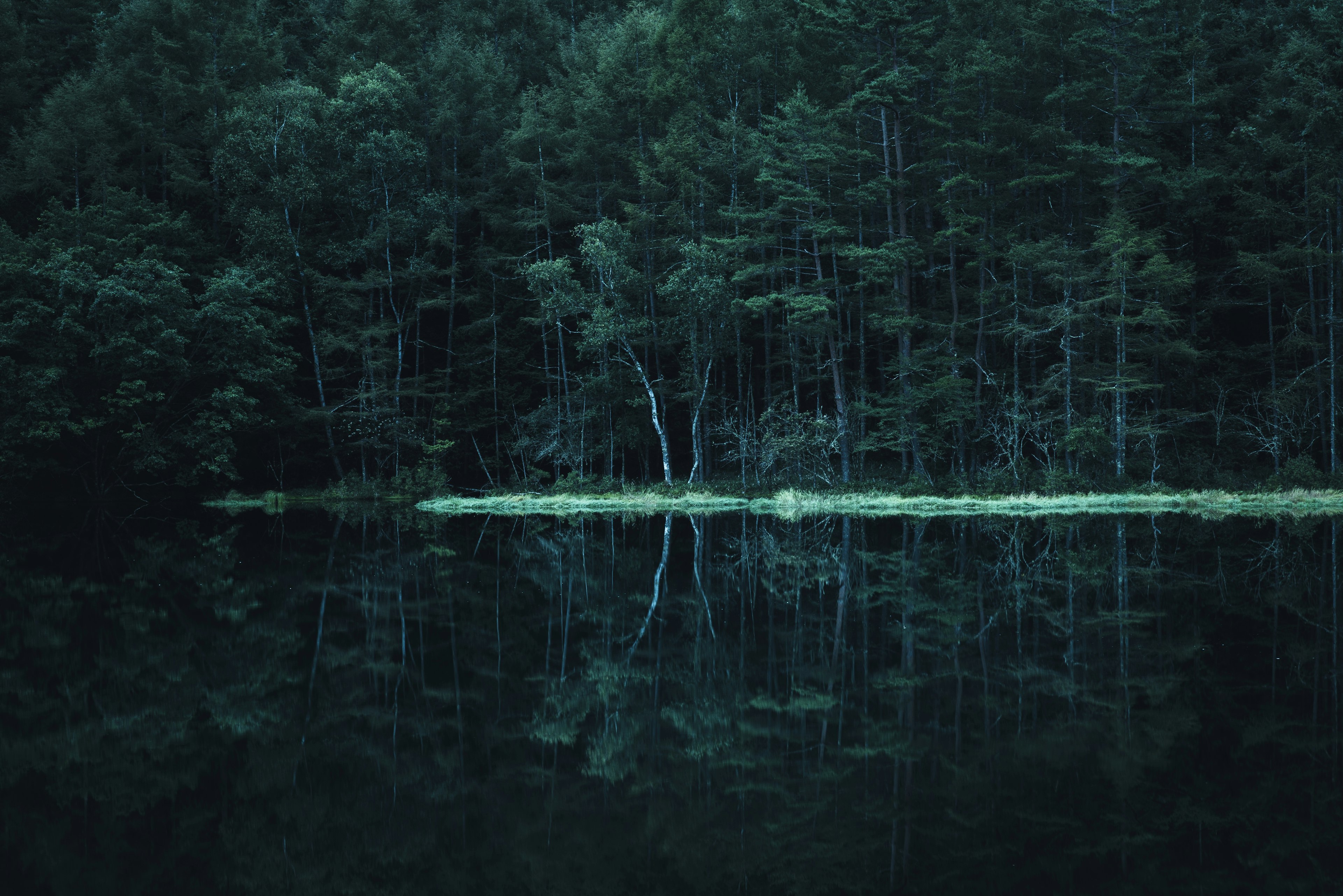 Ruhiger See mit grünem Wald im Spiegel