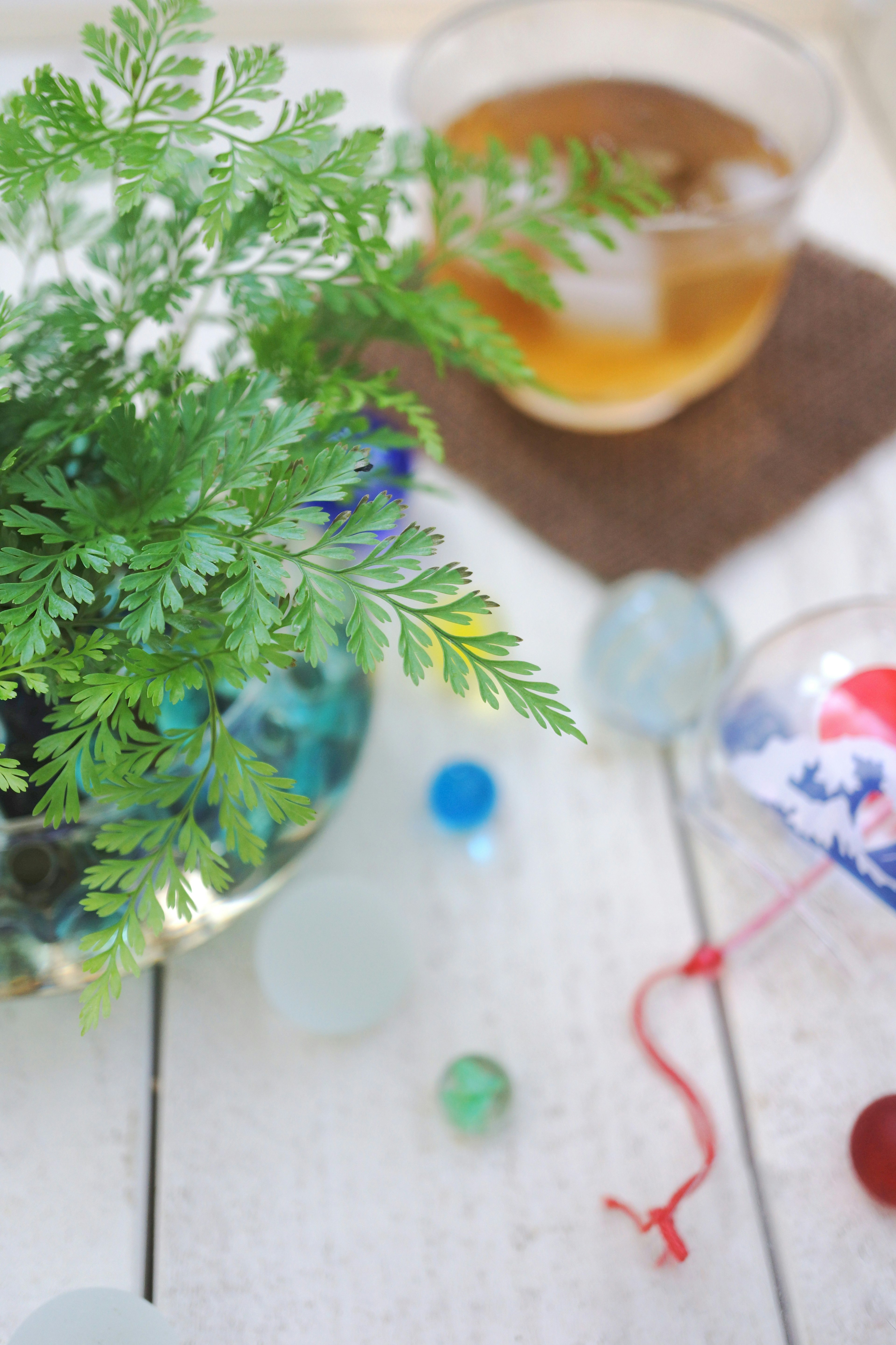 一個場景，桌上有綠色植物和琥珀色飲料