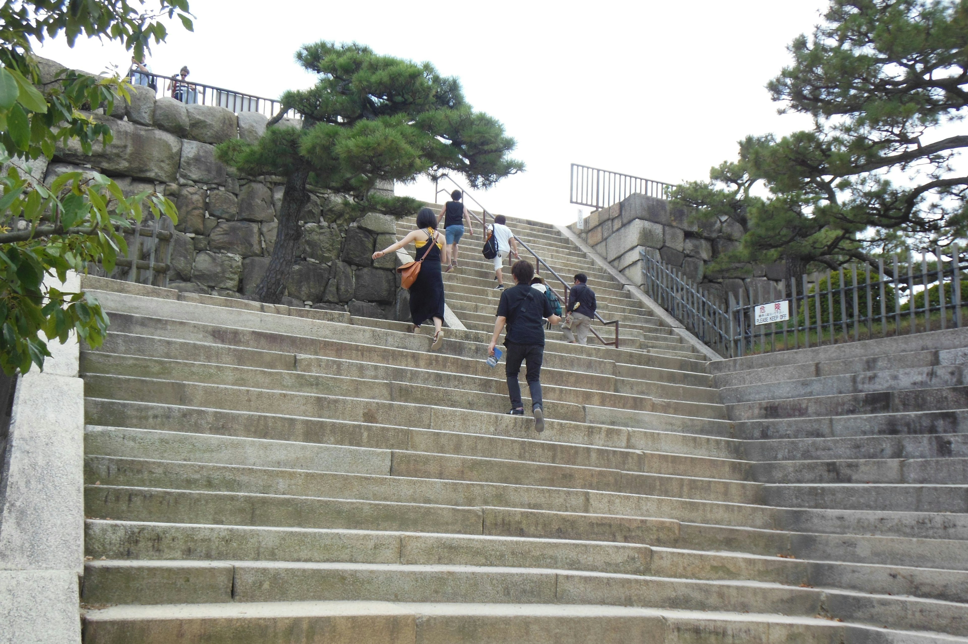 People walking up stone steps with green pine trees