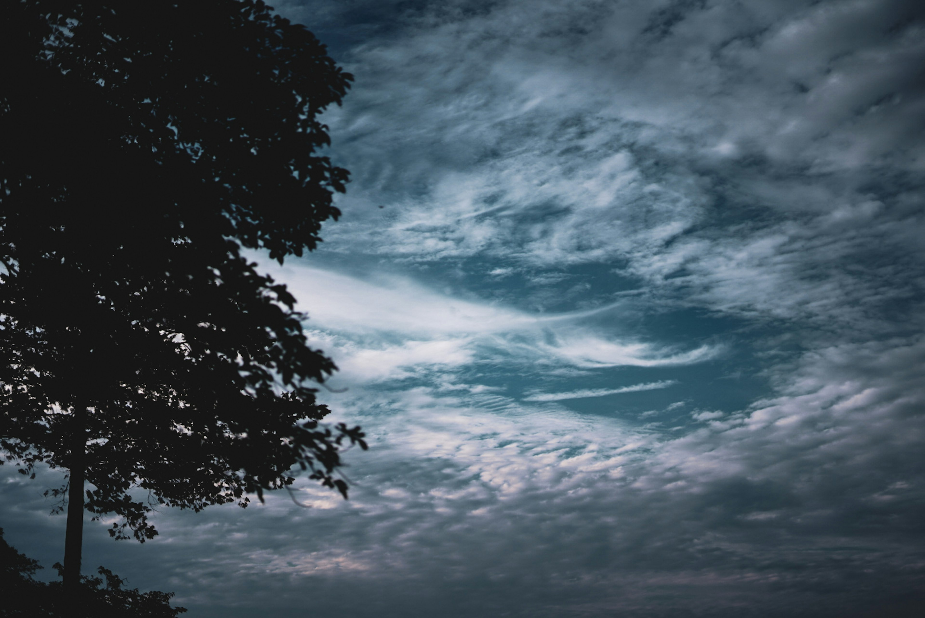 Dunkler Himmel mit Wolken und Silhouette eines Baumes