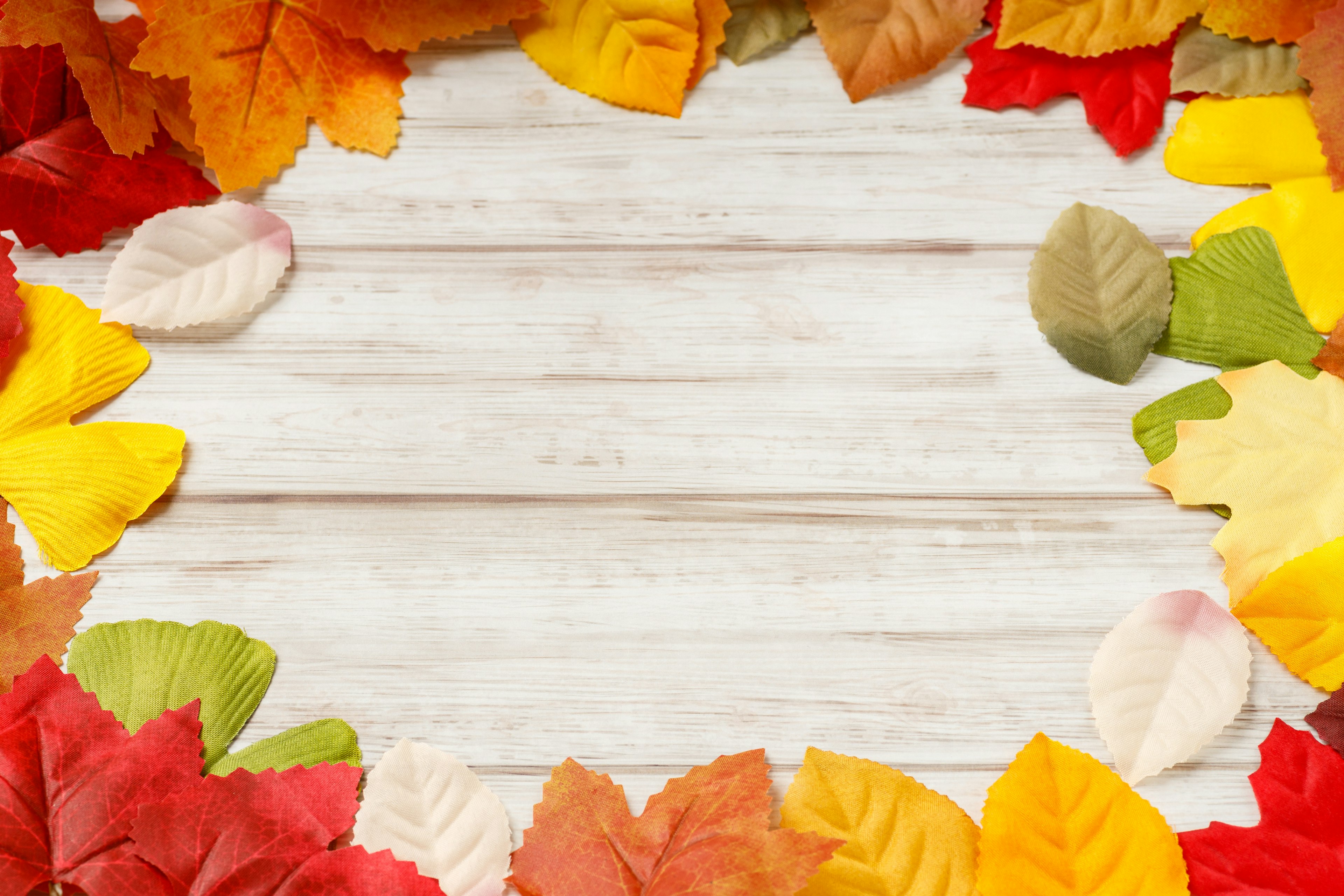 Colorful leaves arranged around a white wooden table