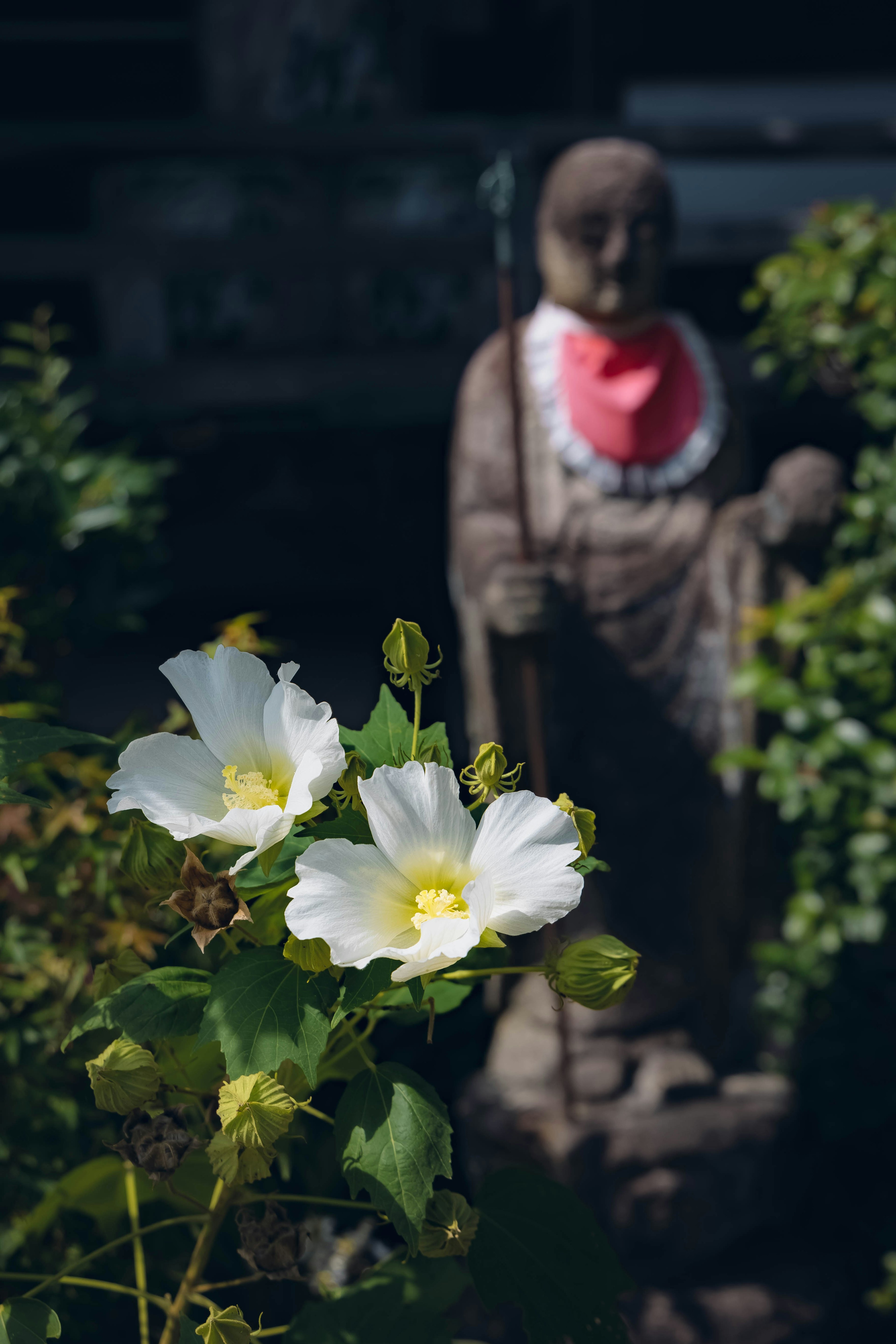 白い花と背景の仏像のある緑豊かな庭