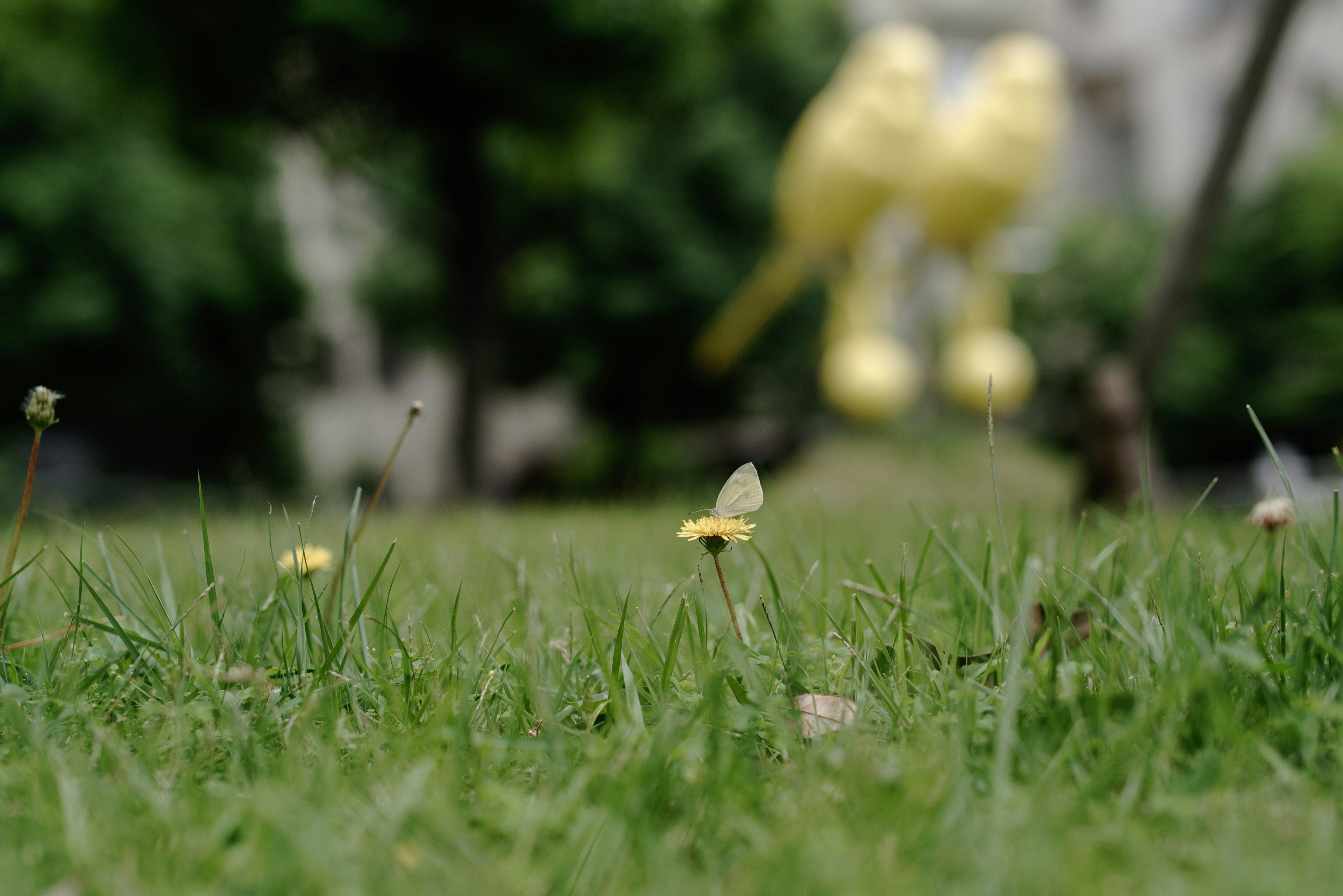 Small flowers on grass with a blurred yellow bird sculpture in the background