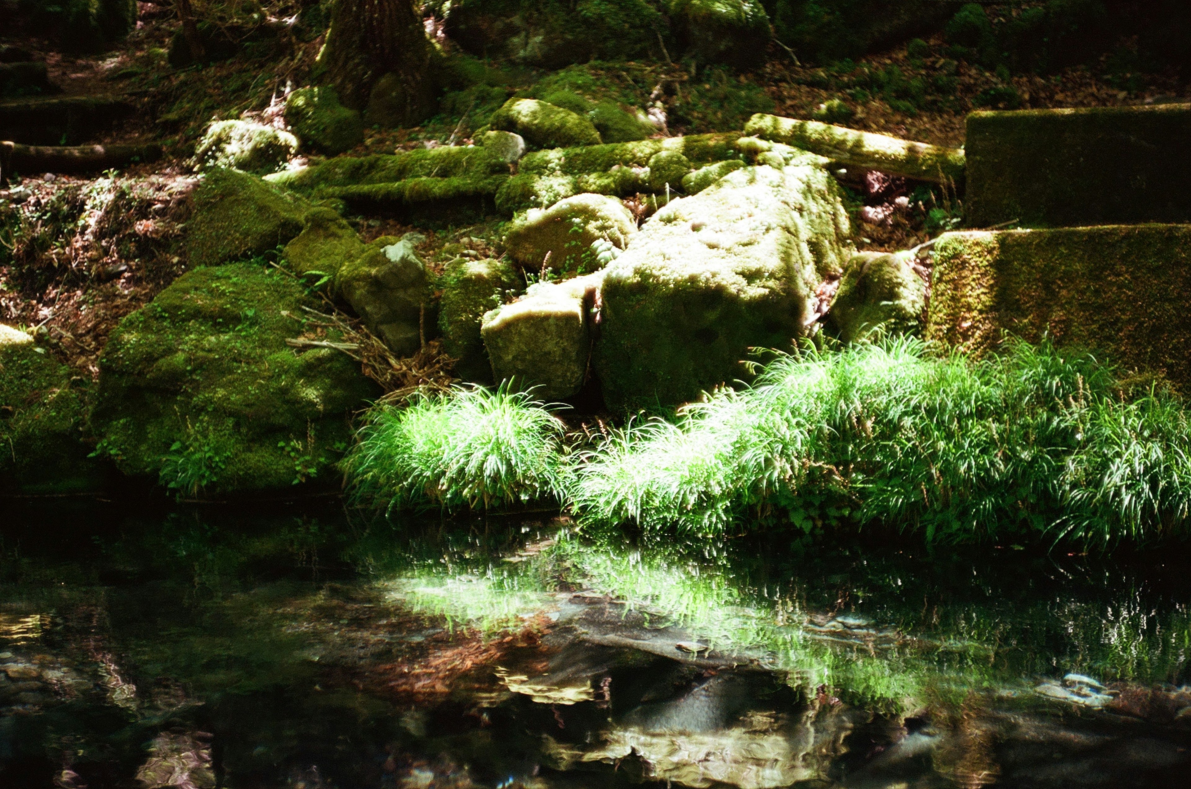 photo-ITAmjdbhNqZDbChH3JfP-image