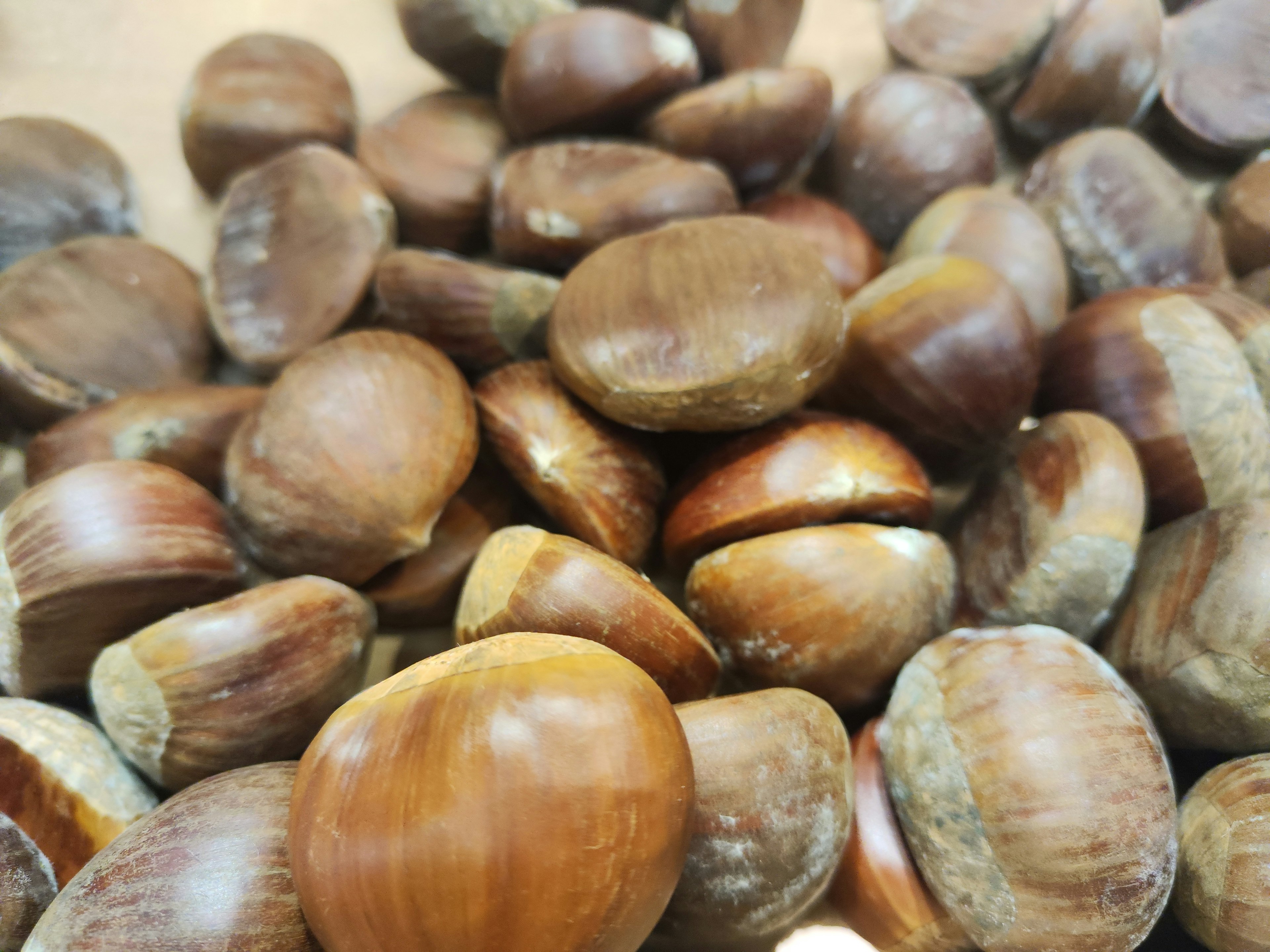 A pile of brown chestnuts with shiny shells