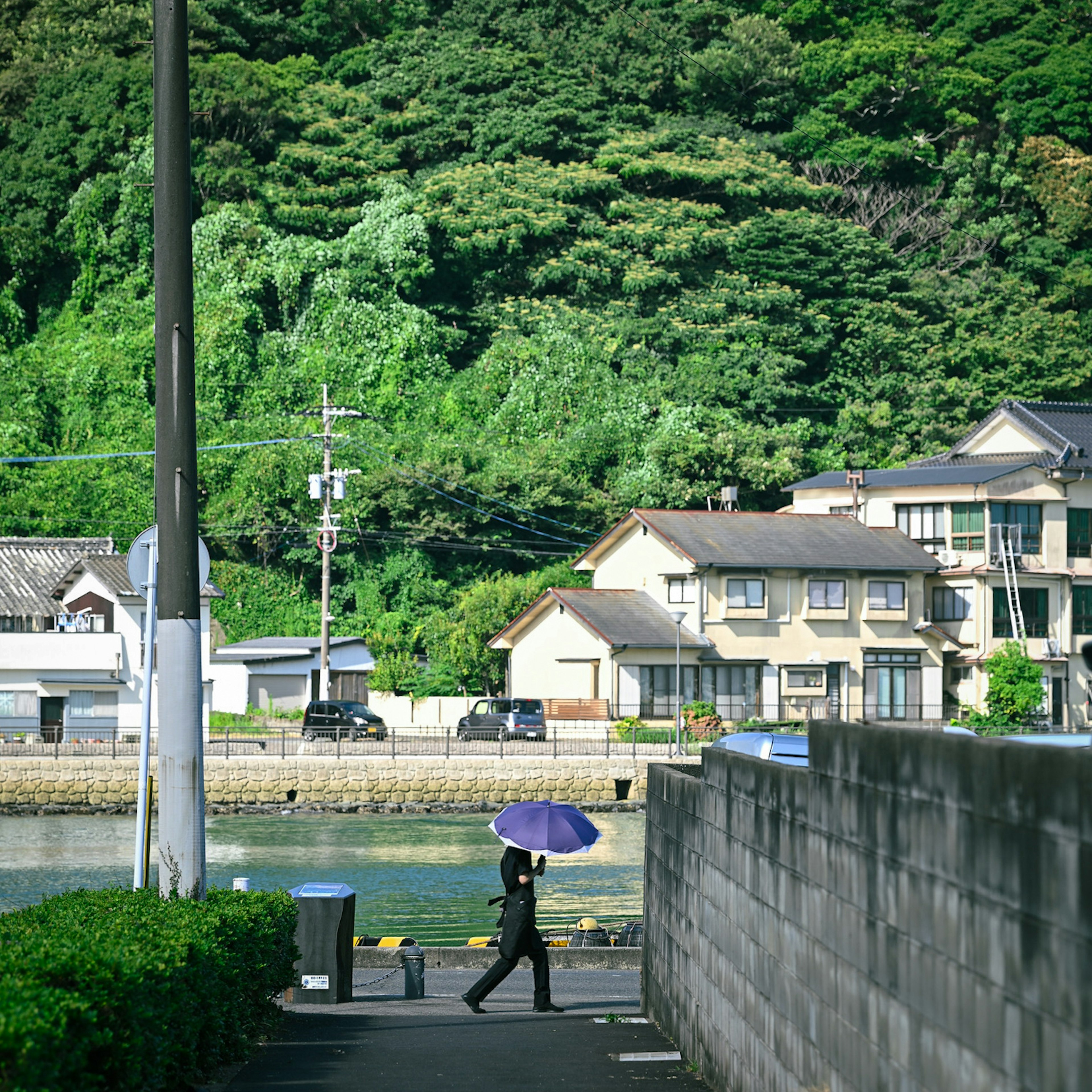 緑豊かな山の前を紫の傘を持った人物が歩く風景